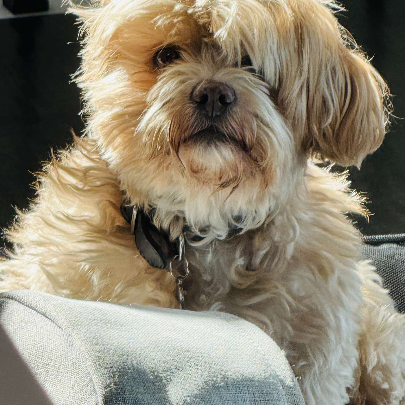 PLATE & PONDER: Empty-Nesting with Jen & Chris Fenton