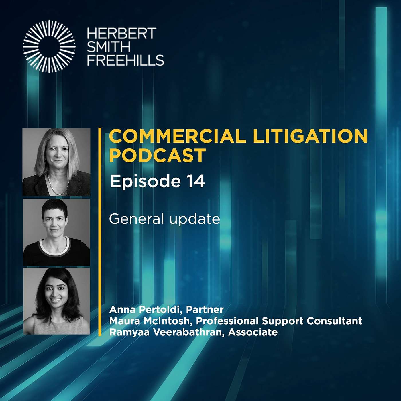 Commercial Litigation EP14: General update episode artwork