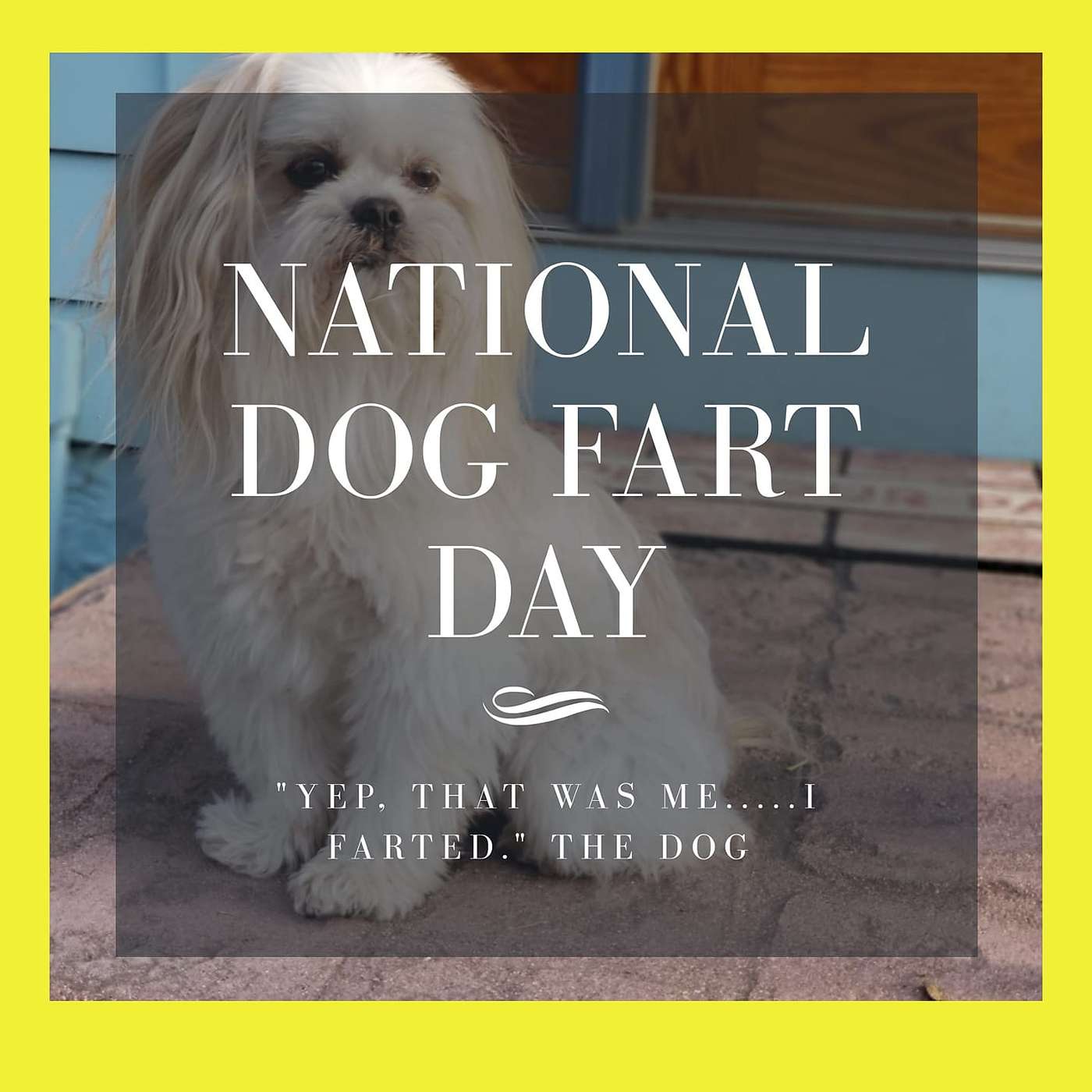 Pet Pals Bark & Learn
