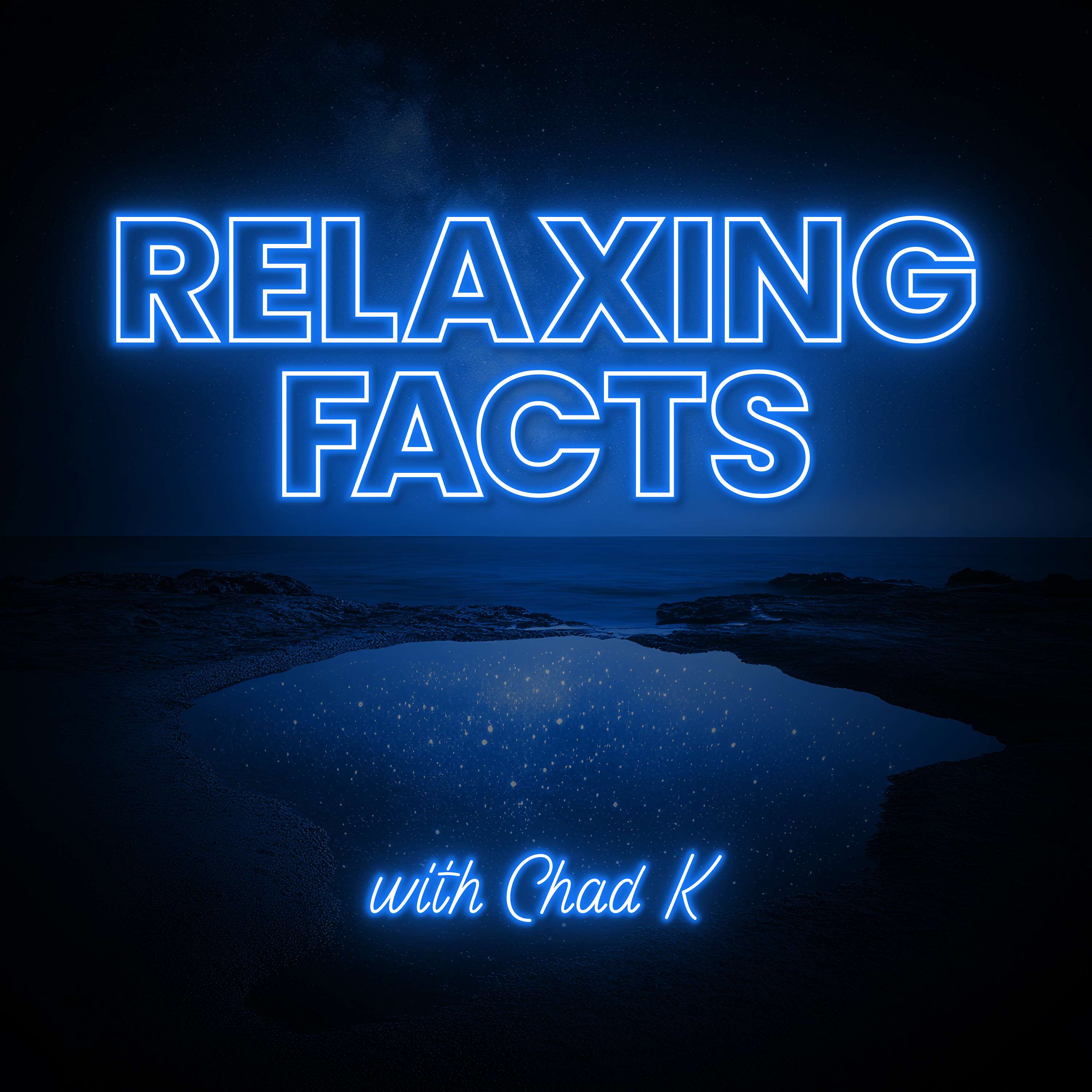 The History of Paper