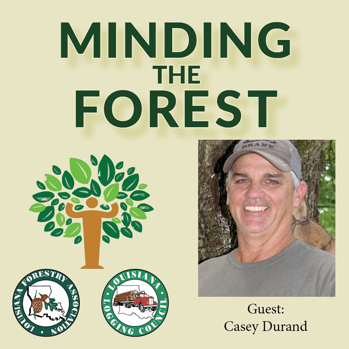 Minding the Forest