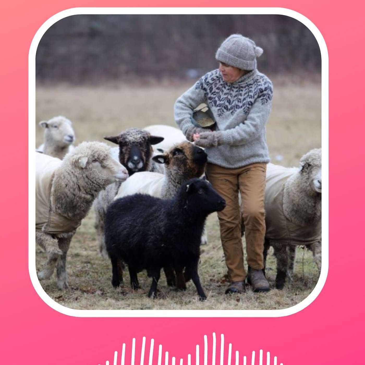 125 Tammy White - The one woman farmer from Wing & a Prayer creating community wherever she goes