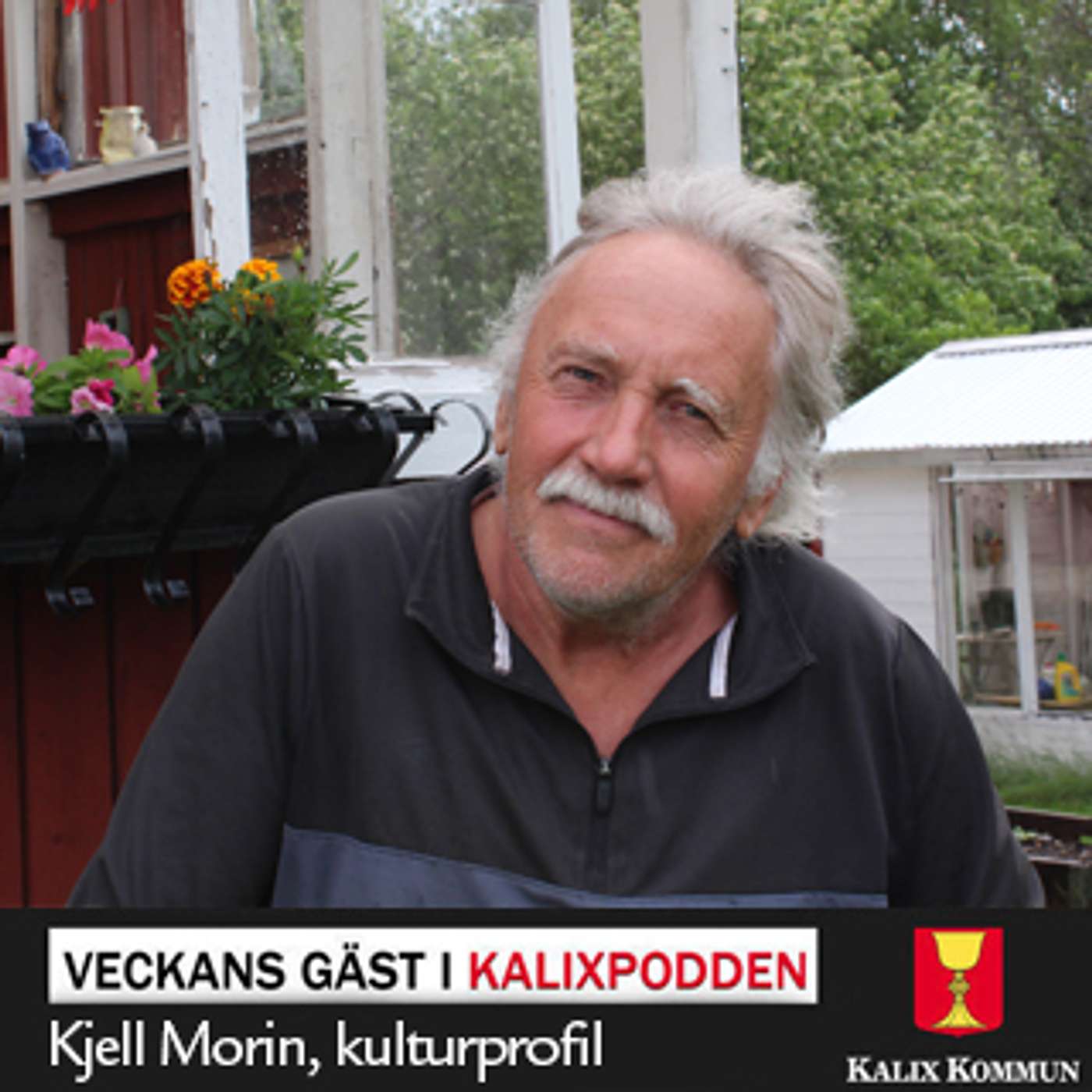 Kalixpodden