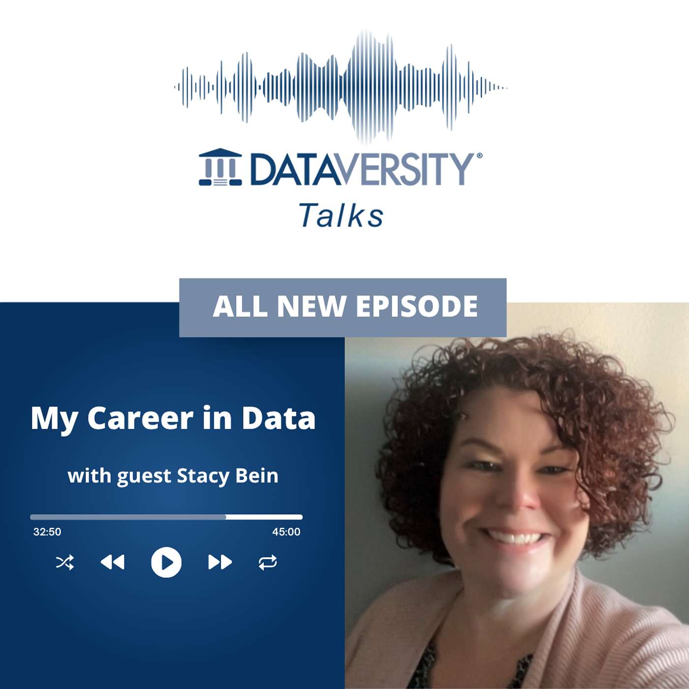 My Career in Data Season 3 Episode 12: Stacy Bein, Principle Business Data Steward, Discover