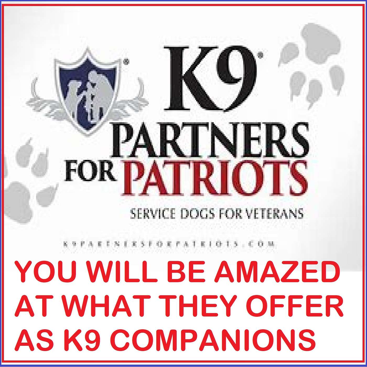 Your current dog might to be able to be trained as a,  Psychiatric Service Dog (PSDs), Medical Alert and Response Service Dog, or a. Mobile/Physical Assistance Service Dog. Each type of dogs is trained to provide a specific task.