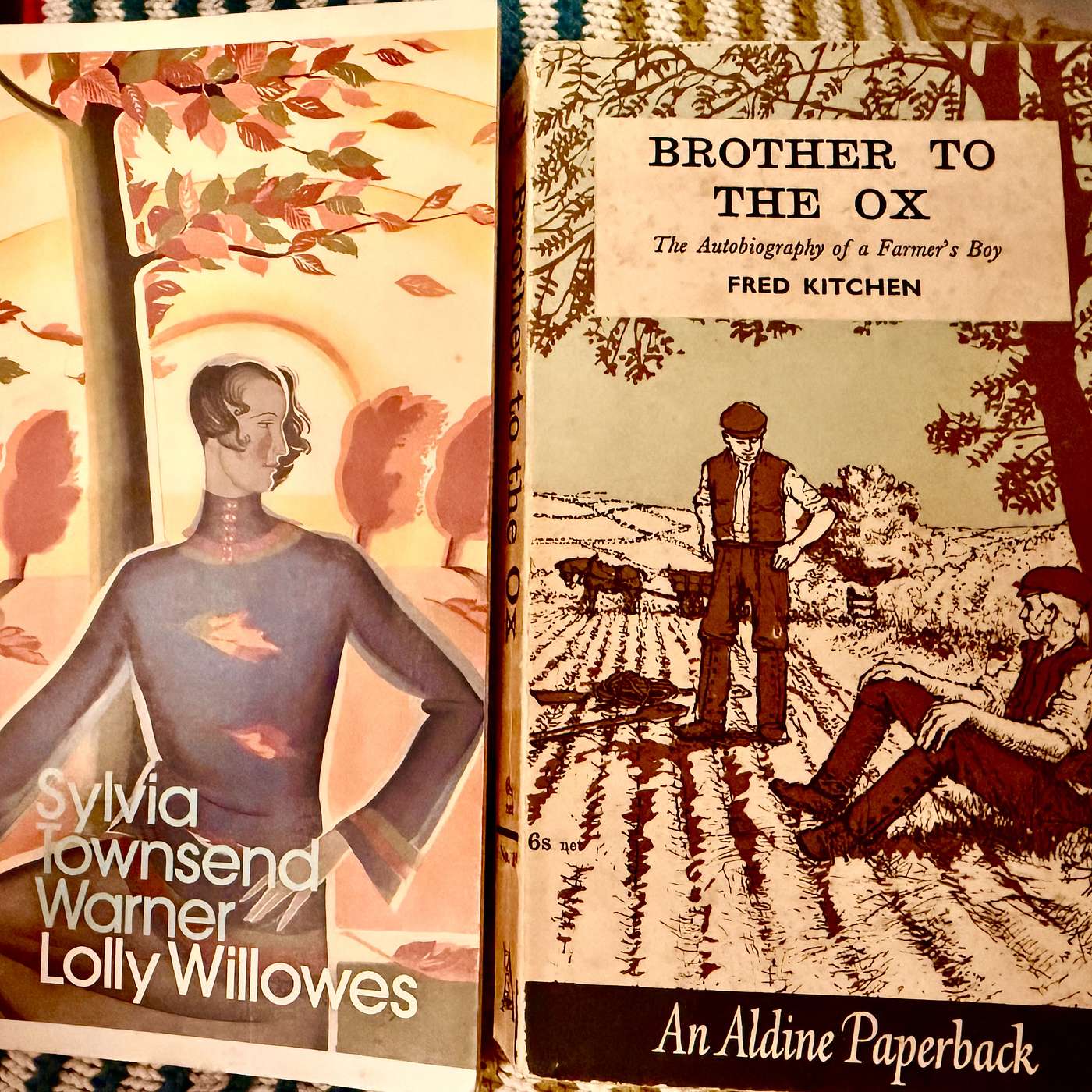 The Brothers York; Lolly Willowes; and the Tale of a Yorkshire Scallywag