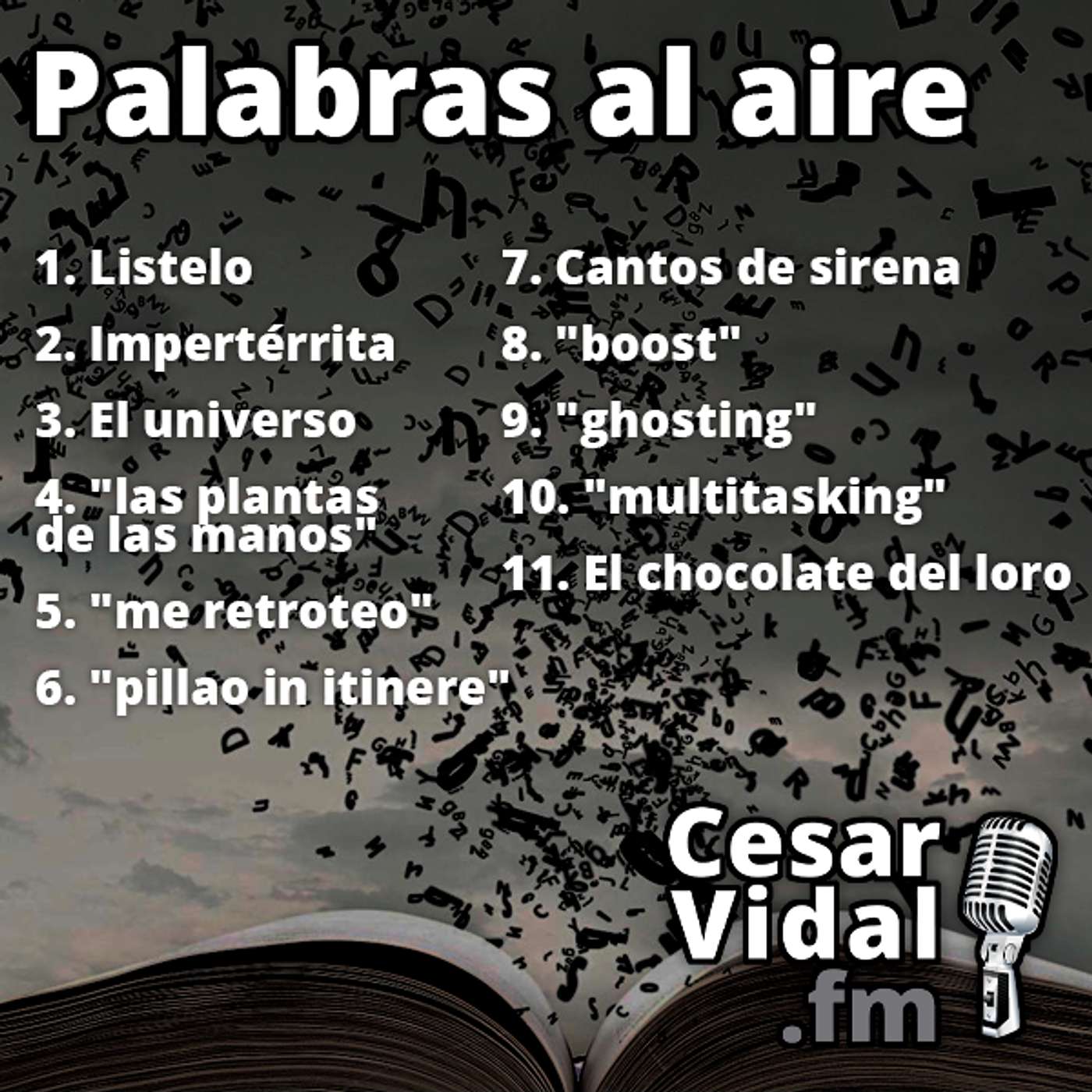 Palabras al aire - 13/01/25