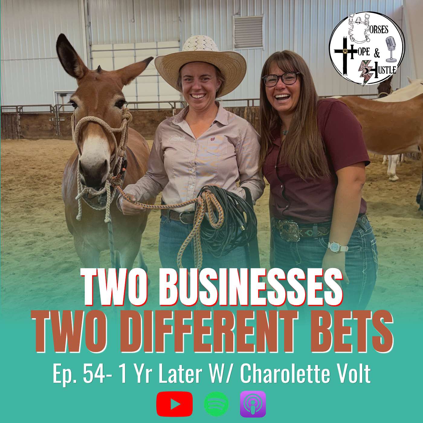 #54 One Year Later: Two Businesses, Two Totally Different Bets with Charolette Volt