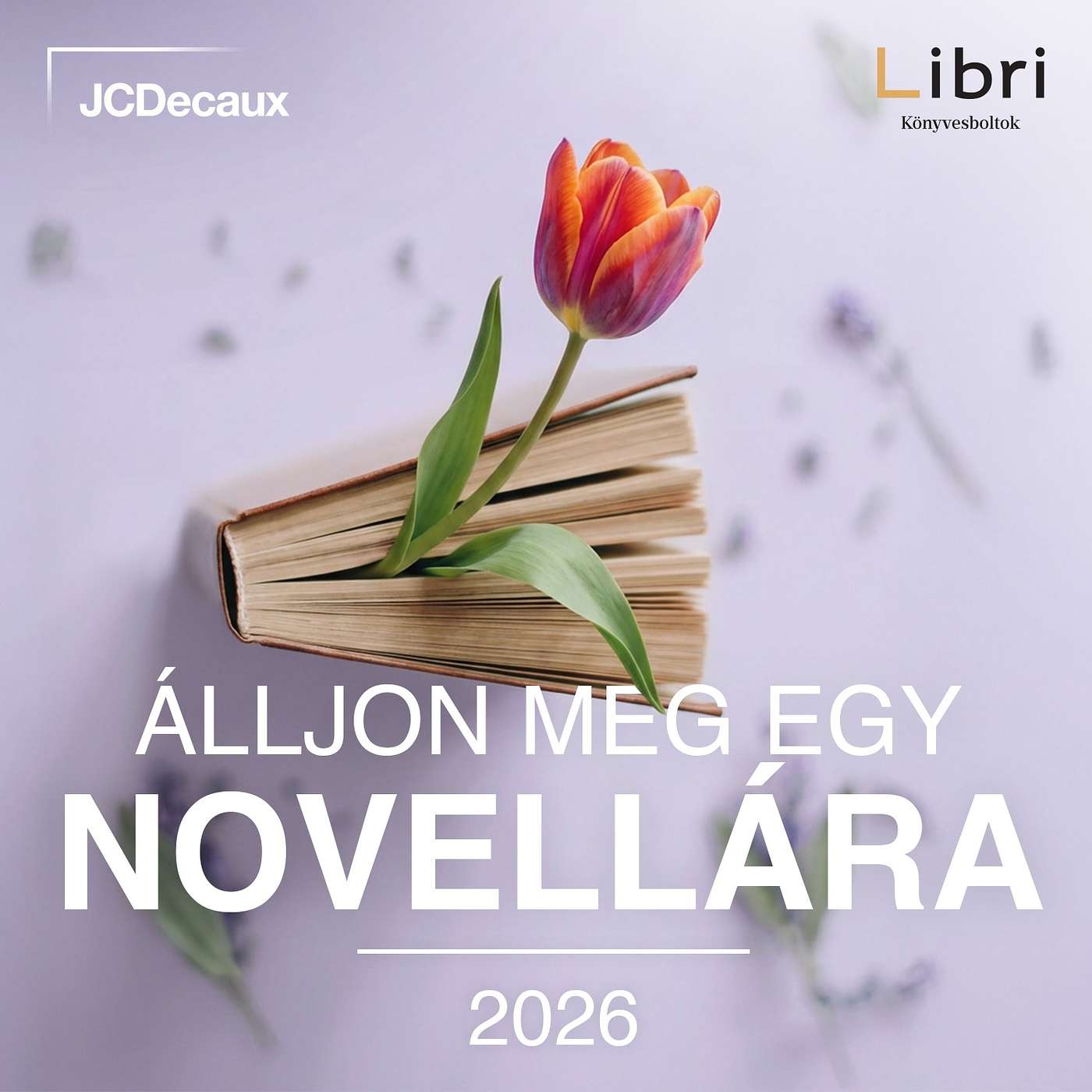 Álljon meg egy novellára!
