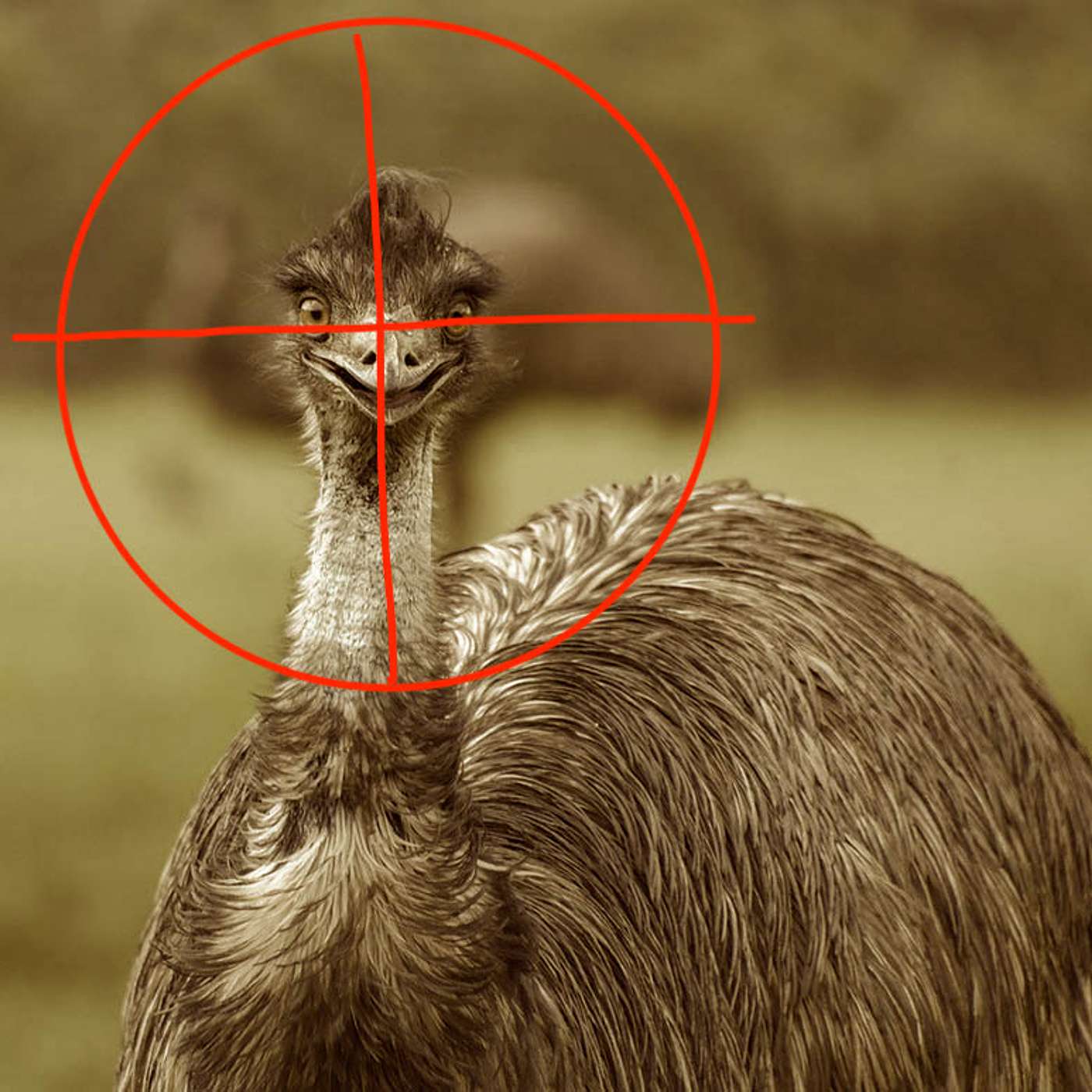 cover of episode The Great Emu War - Man vs Nature