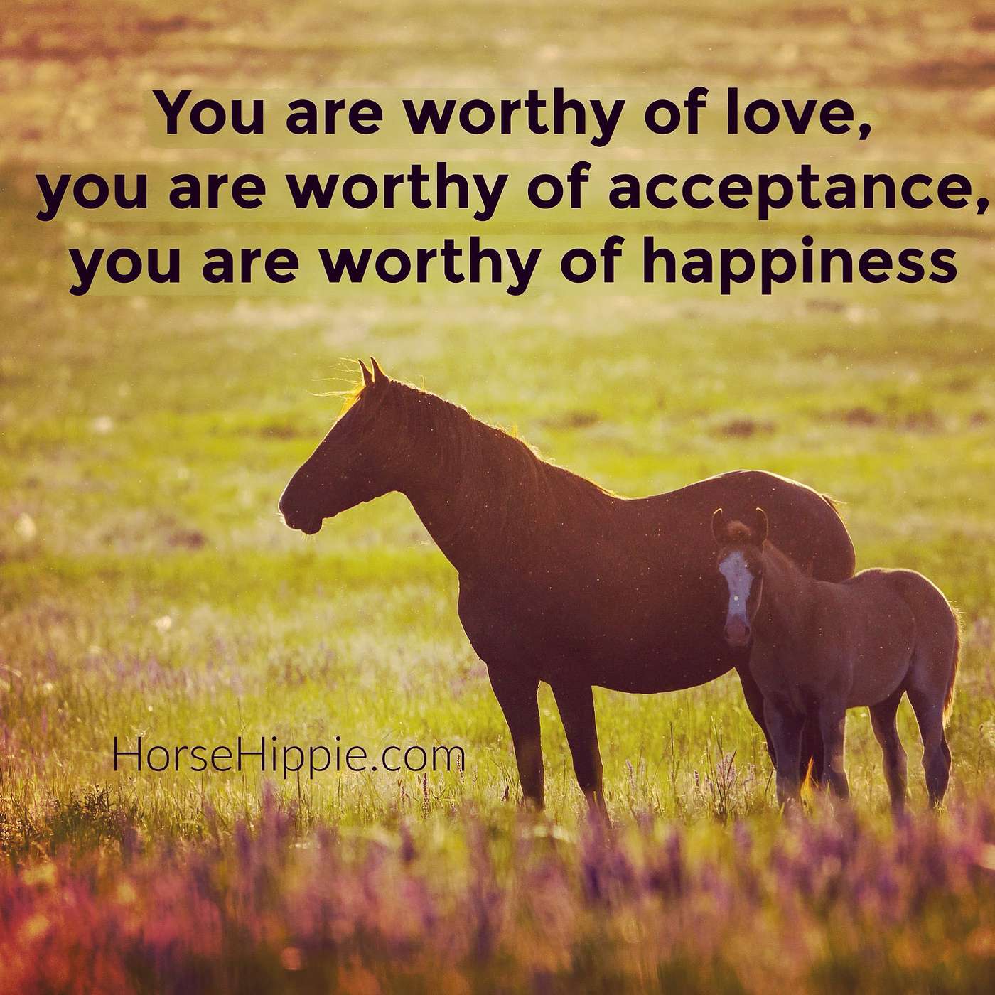 You Are Worthy