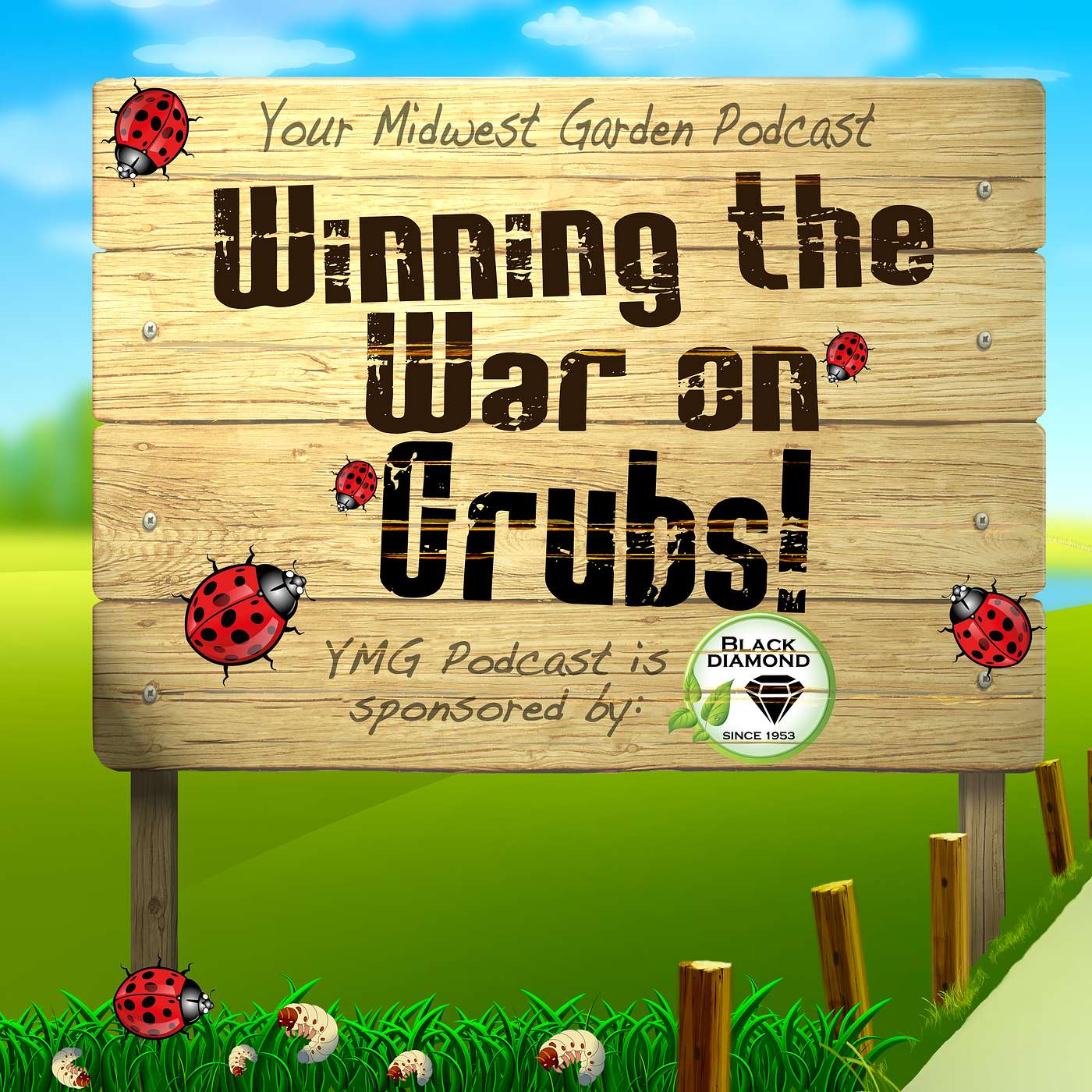 Winning the War on Grubs: The Right Timing Saves Your Lawn