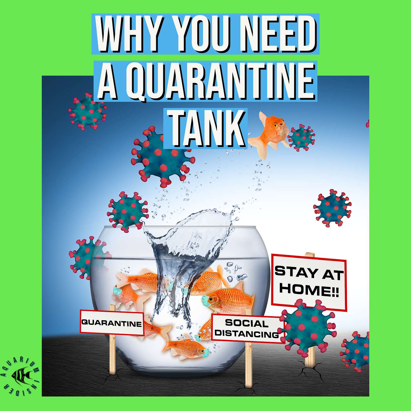 Quarantine Tanks: Why You need Them Quarantine Tanks: Why You need Them