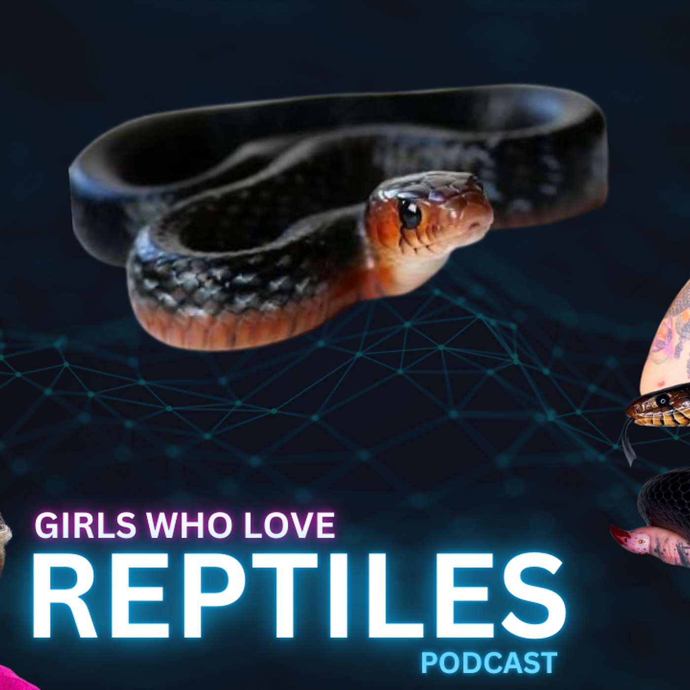 Establishing Drymarchons | Girls Who Love Reptiles Podcast Live