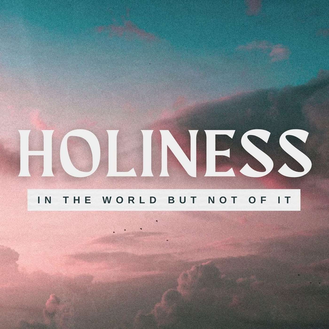 Holiness, Week 3: Looking For Love In All The Wrong Places episode artwork