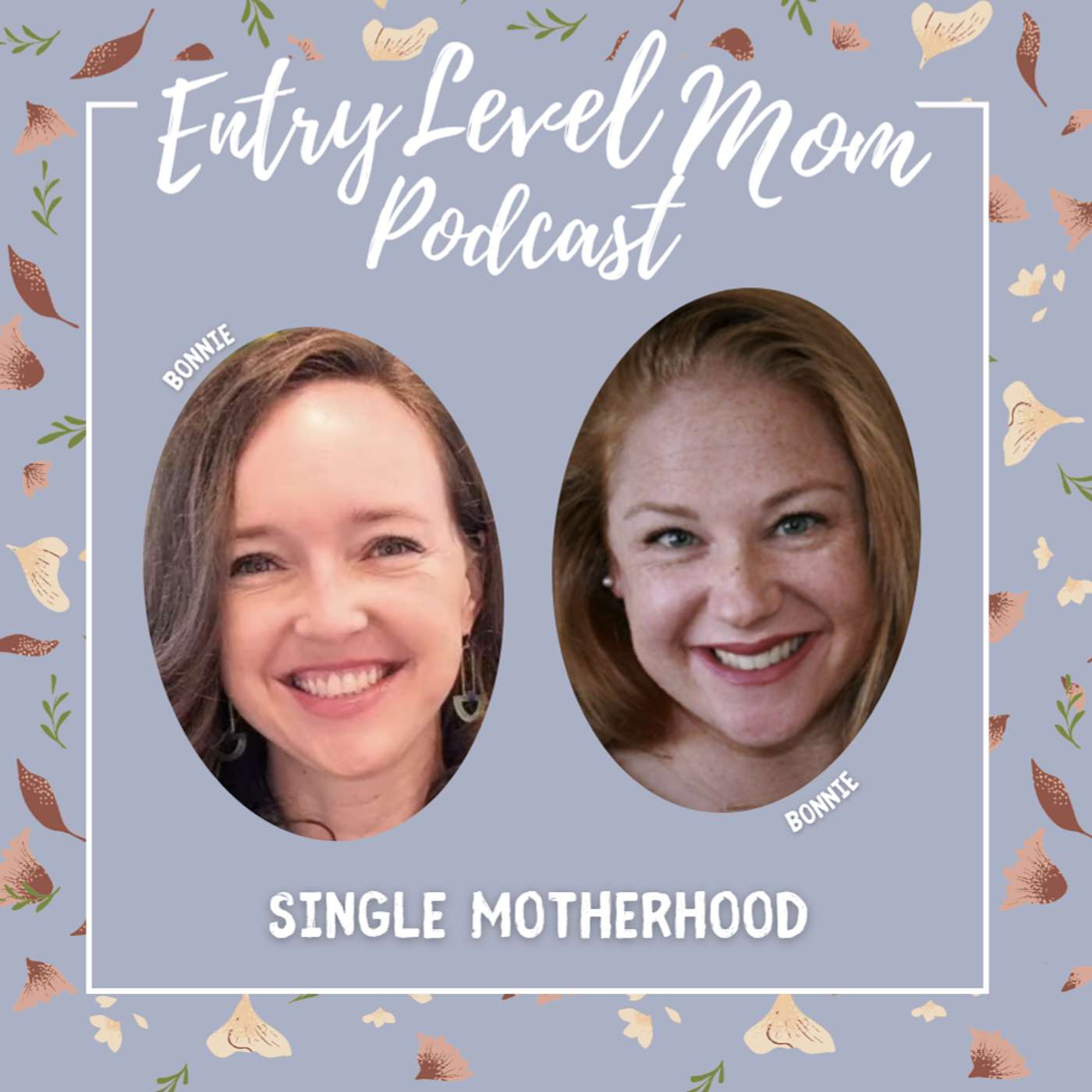 Entry Level Mom Podcast