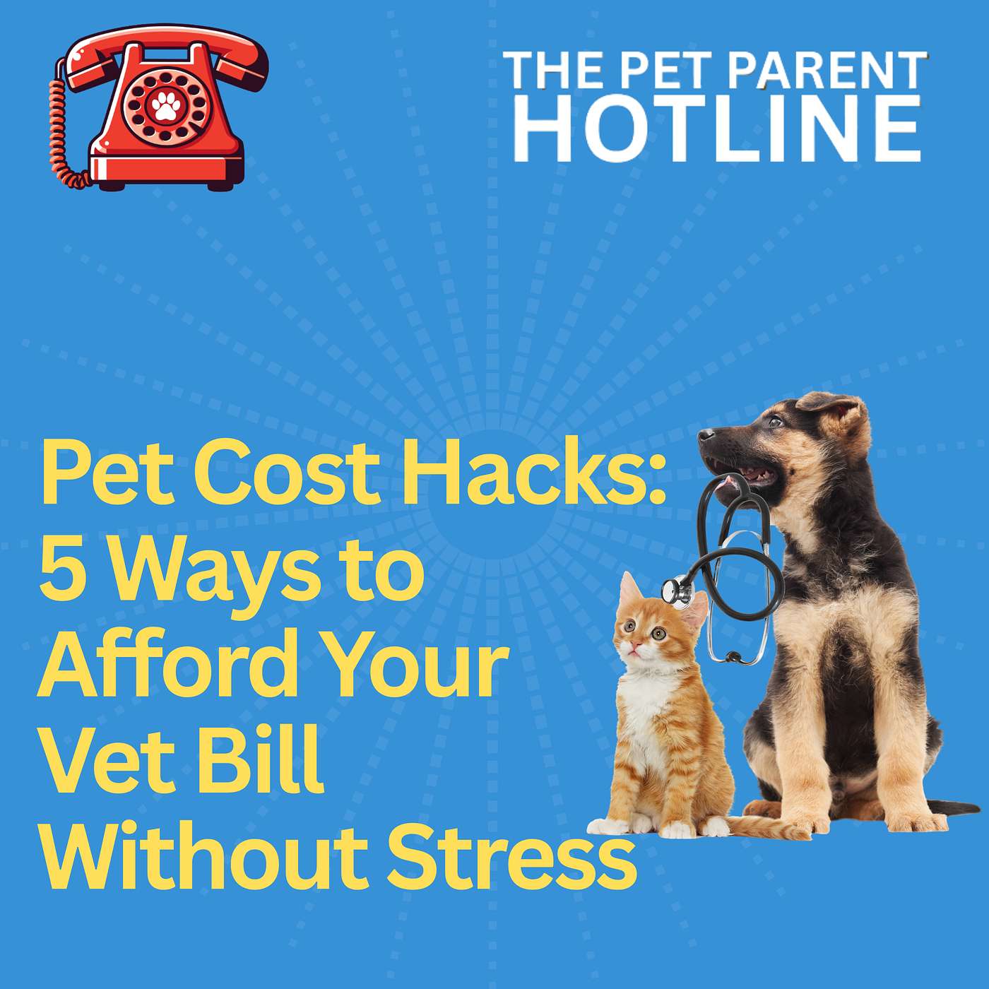 Pet Cost Hacks: 5 Ways to Afford Your Vet Bill Without Stress
