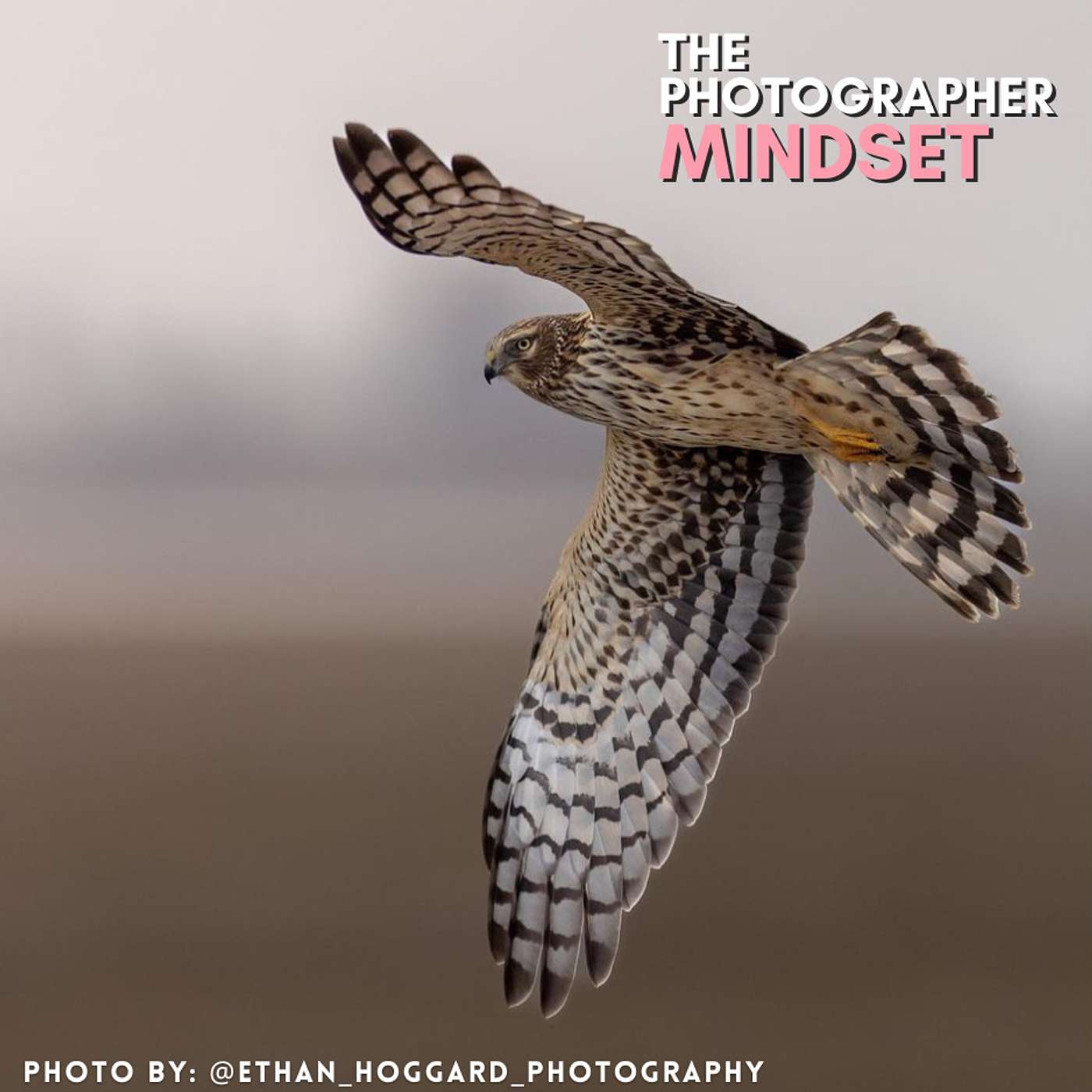 The Photographer Mindset