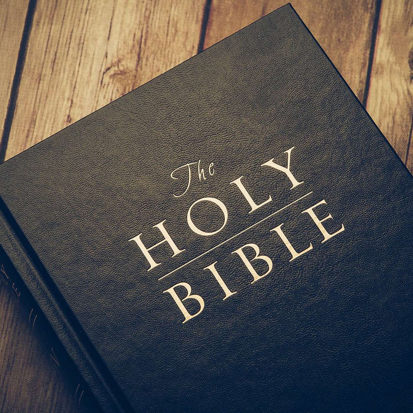 What Is The Bible? Physically?