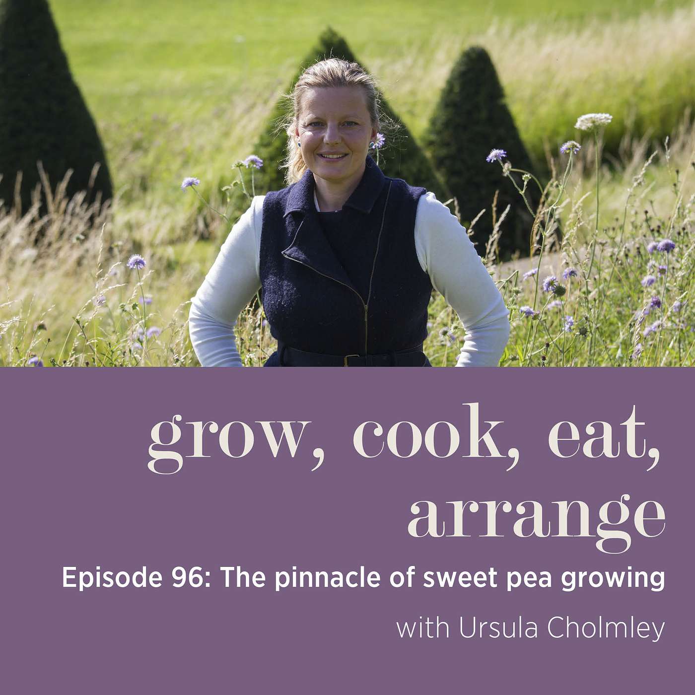 cover of episode The Pinnacle of Sweet Pea Growing with Ursula Cholmley - Episode 96