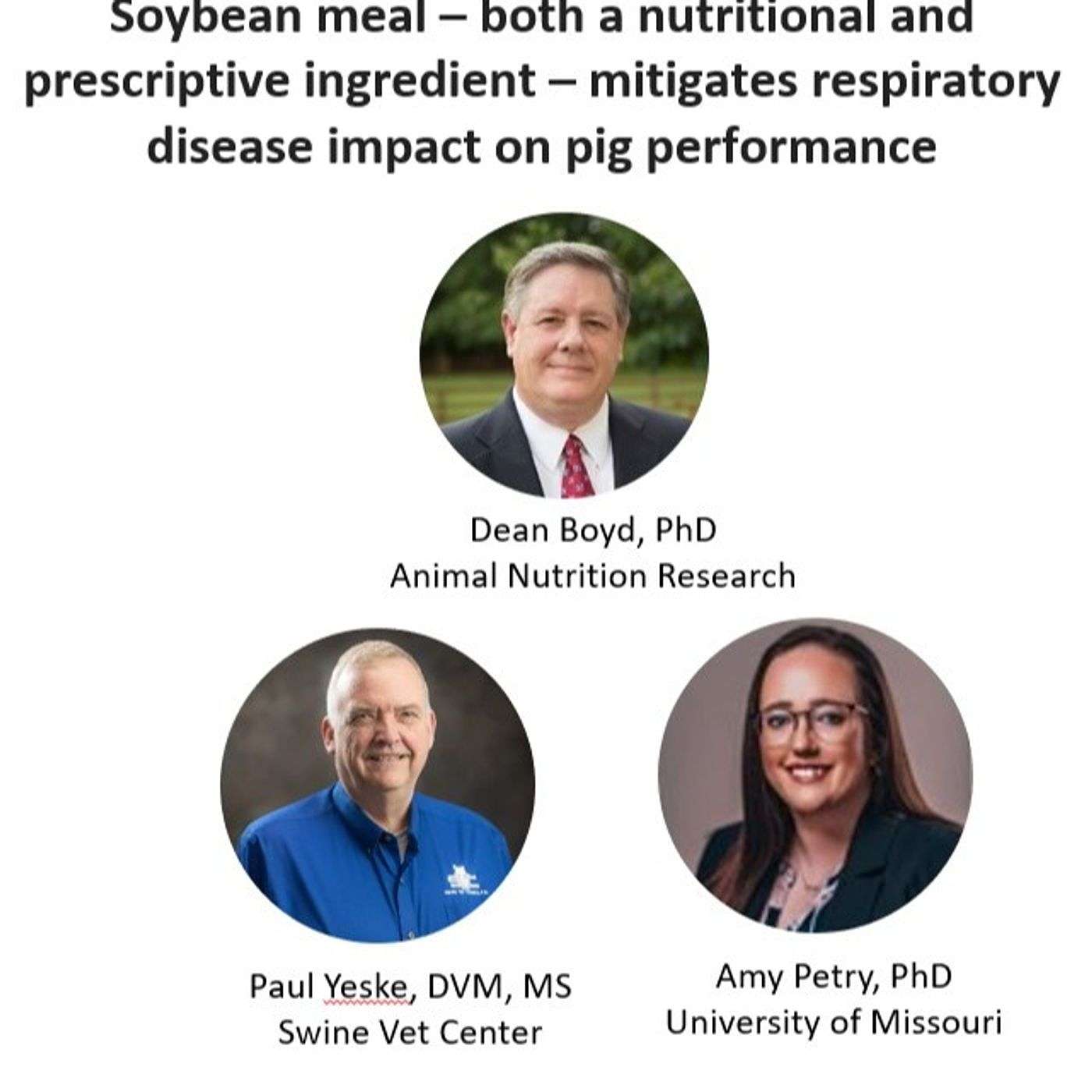 Soybean meal – both a nutritional and prescriptive ingredient – mitigates respiratory disease impact on pig performance