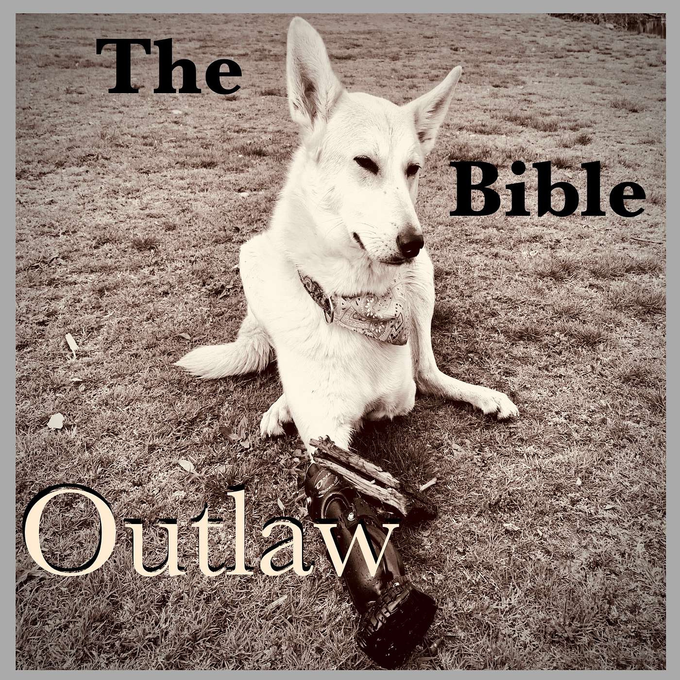 The Bible Outlaw