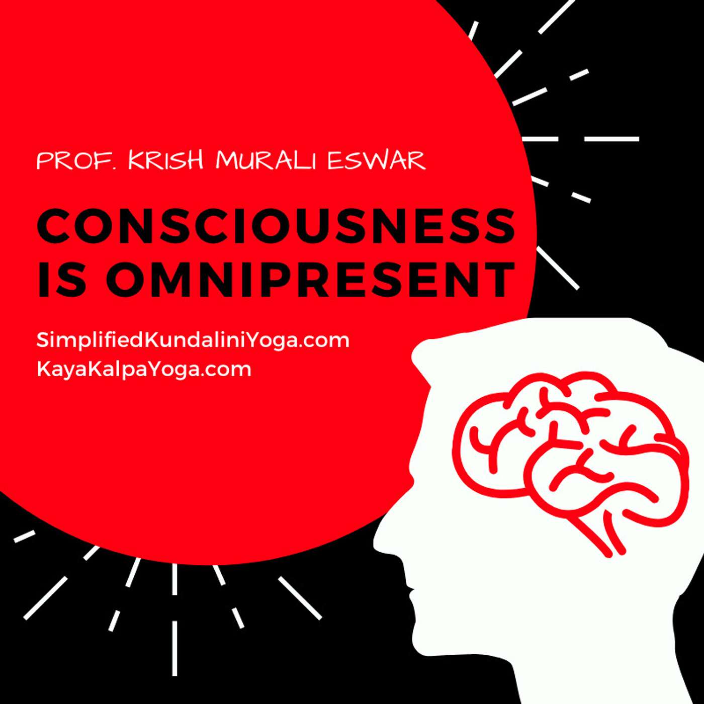 Krish Murali Eswar\'s Heaven Inside