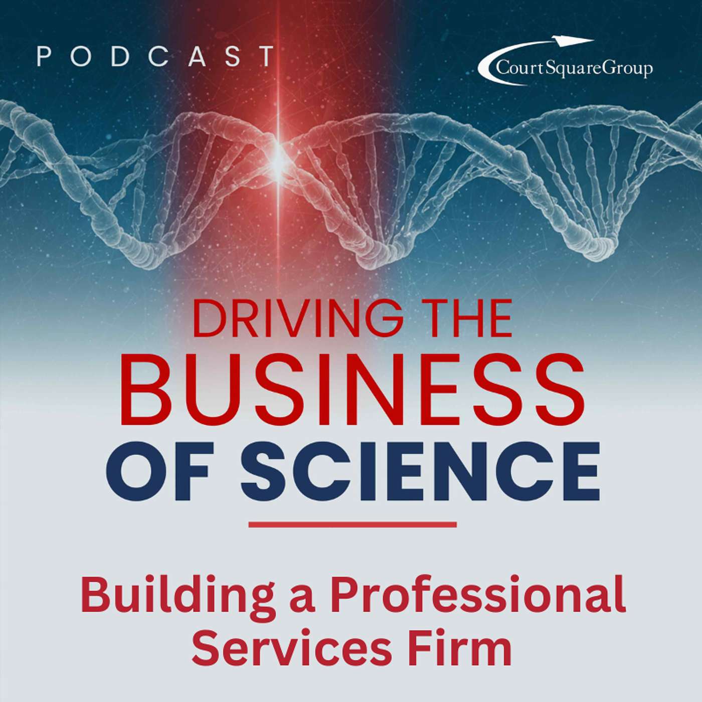 Building a Professional Services Firm