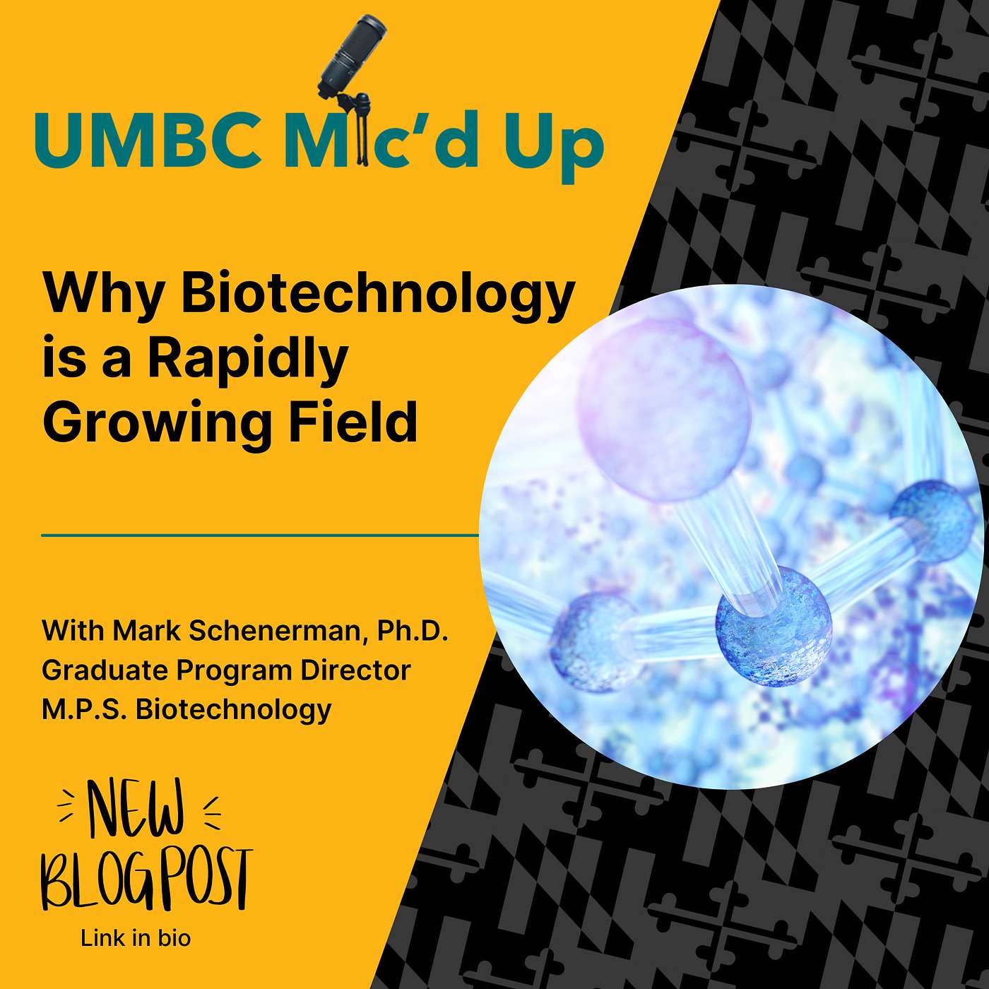 Why Biotechnology is a Rapidly Growing Field episode artwork