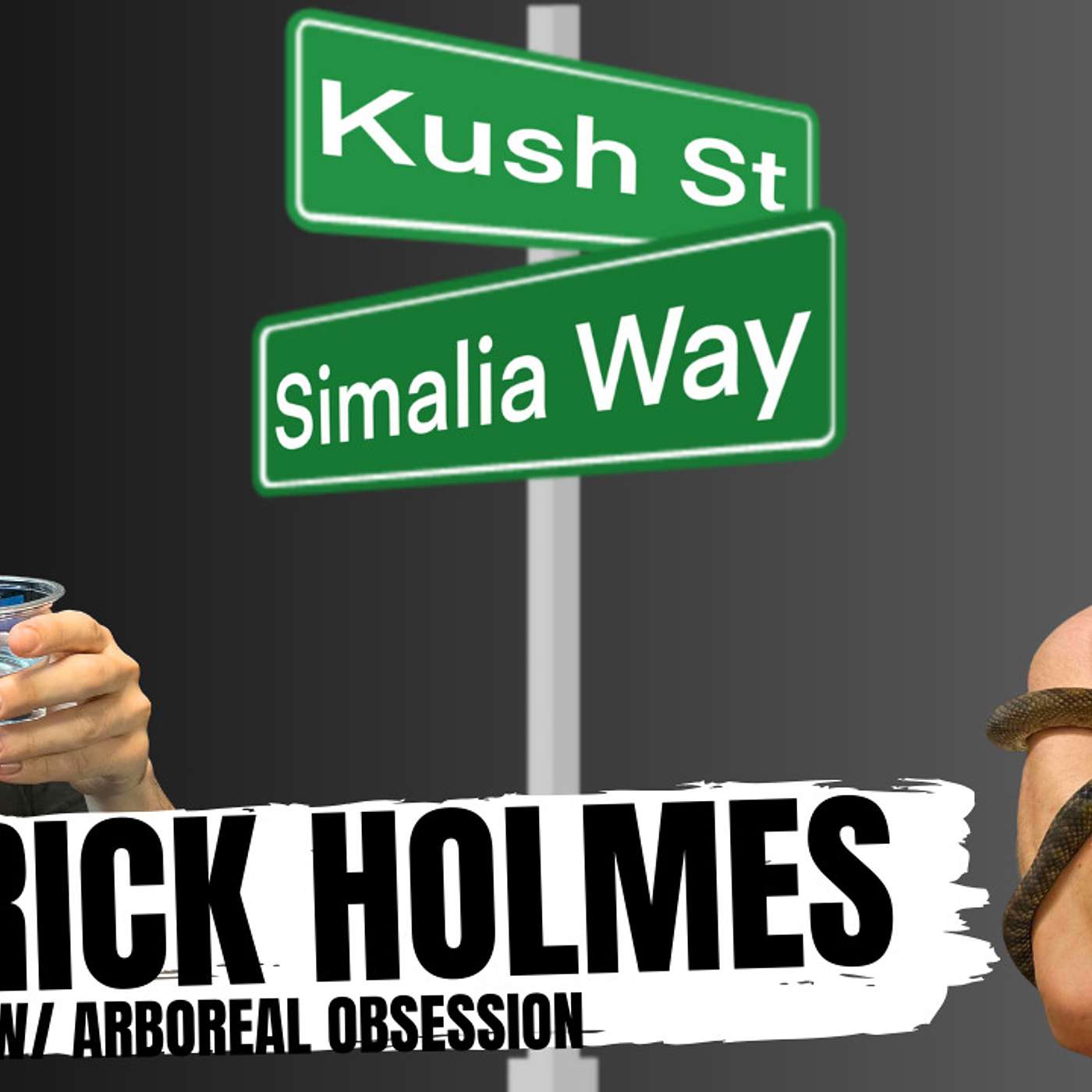 Patrick Holmes talks Scrub Pythons & Venomous Snakes | Kush's Korner Ep.3 LIVE