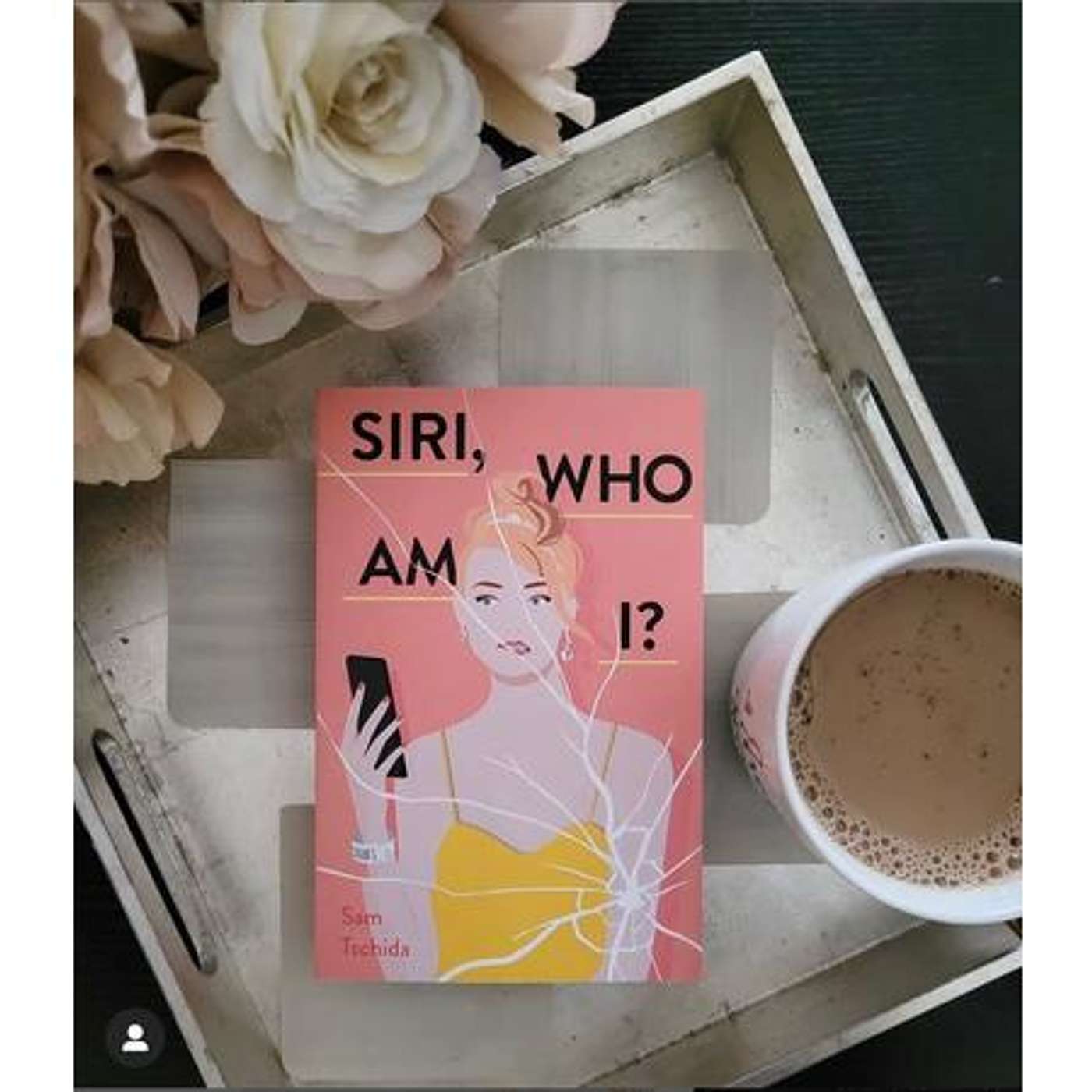 Hey Siri! Let's talk to author Sam Tschida on Readers Entertainment Radio episode artwork