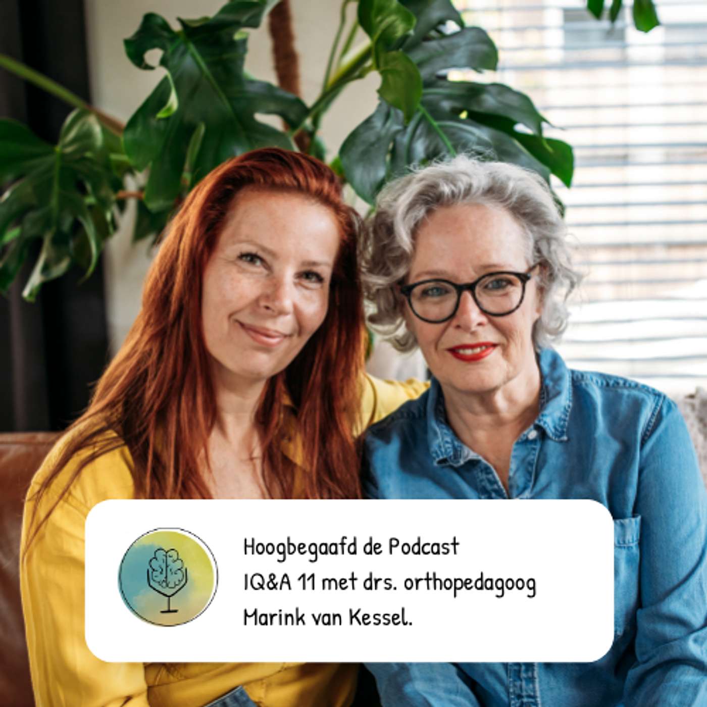 Hoogbegaafd de Podcast