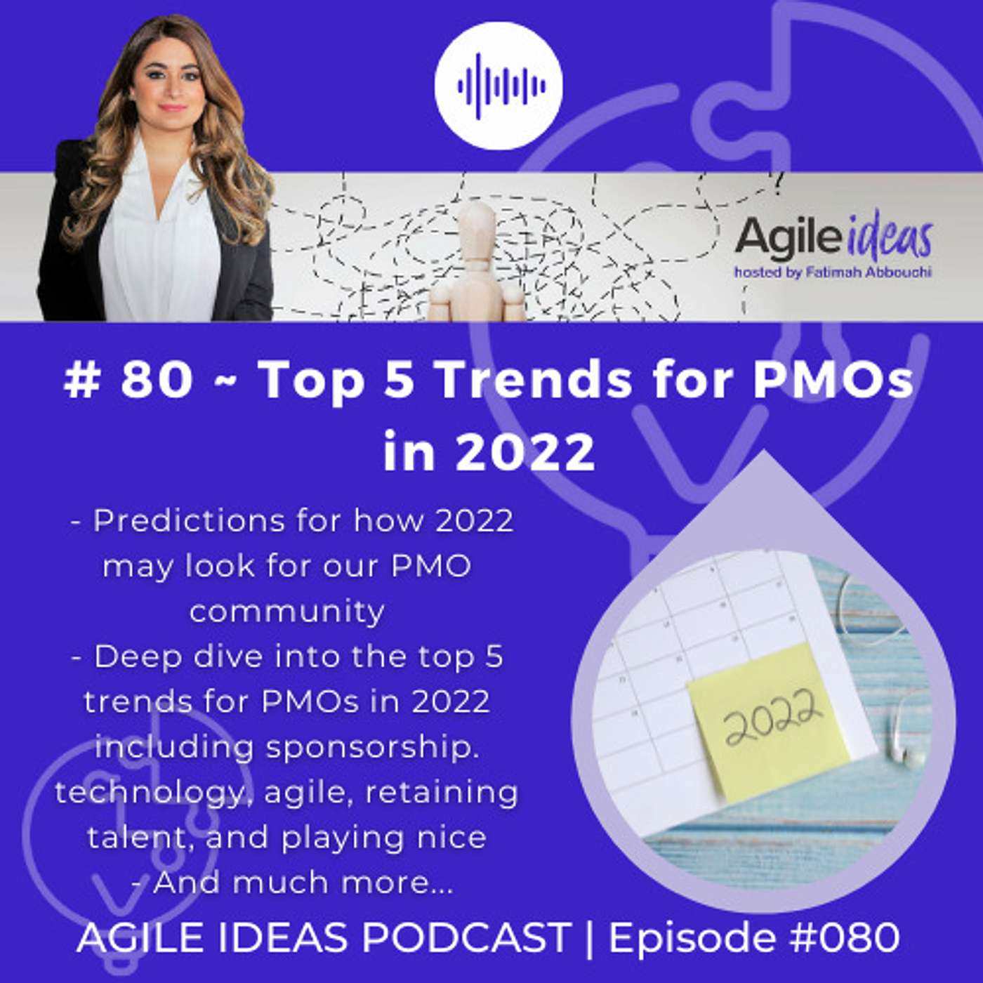 Agile Ideas