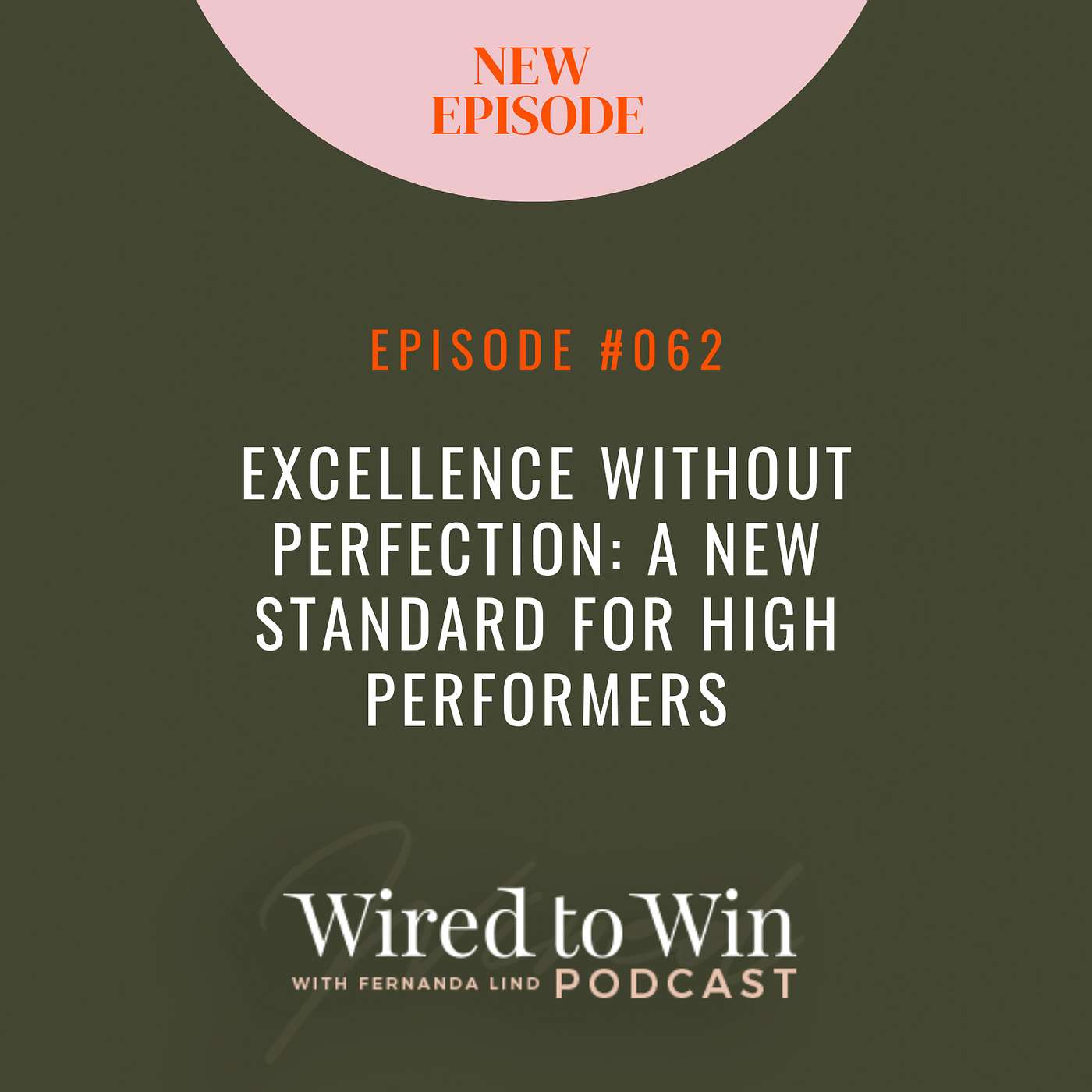 Excellence Without Perfection: A New Standard for High Performers episode artwork