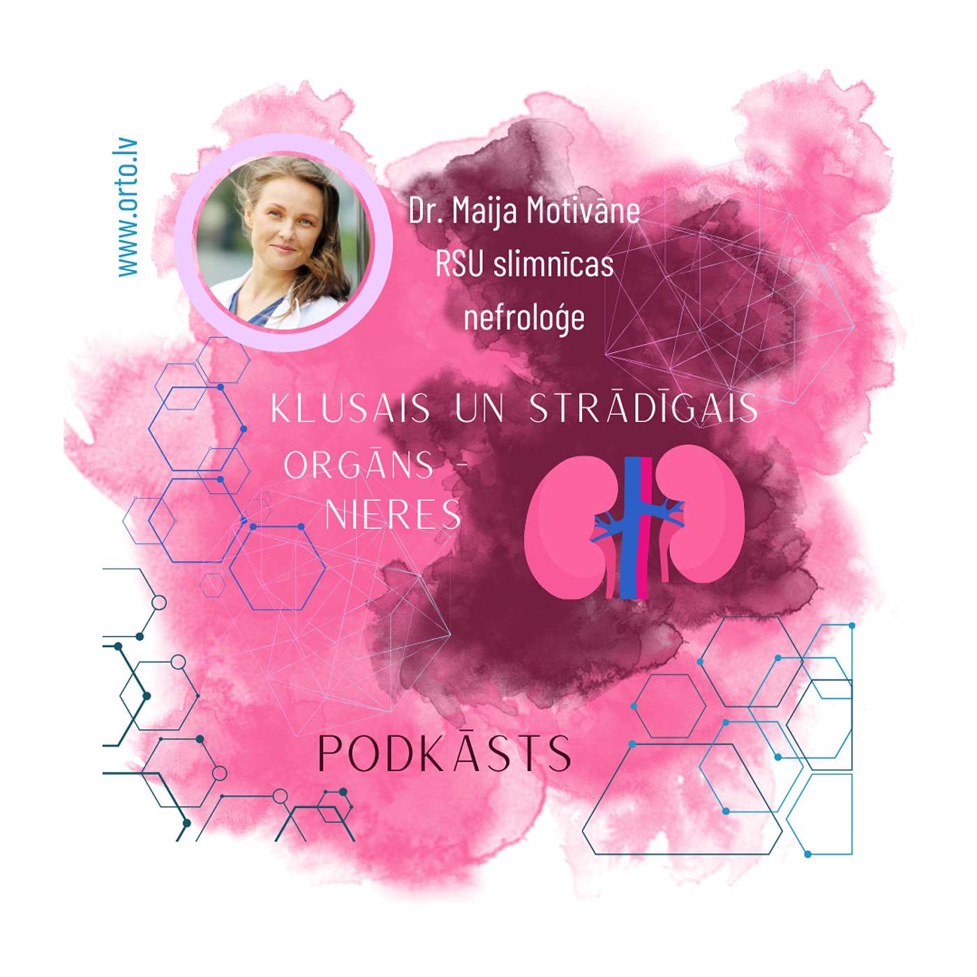 Klusais un strādīgais orgāns – nieres Klusais un strādīgais orgāns – nieres