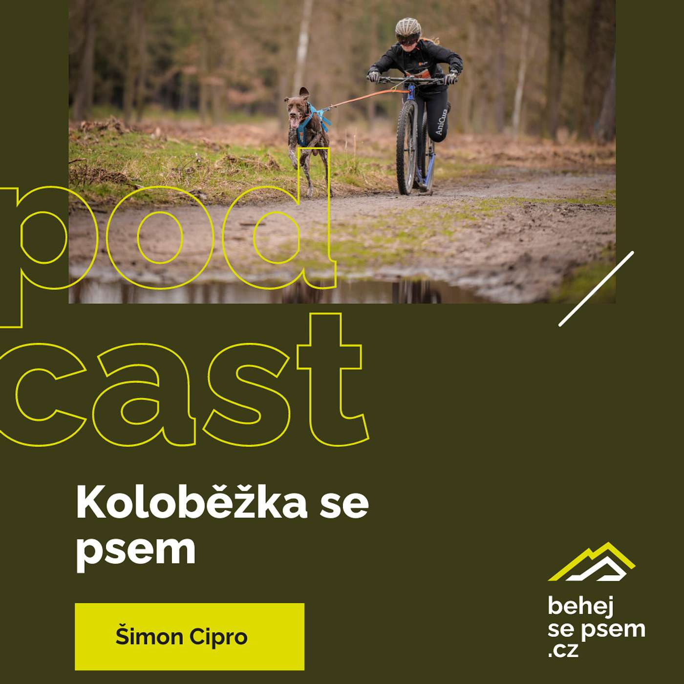 Běhejsepsem.cz