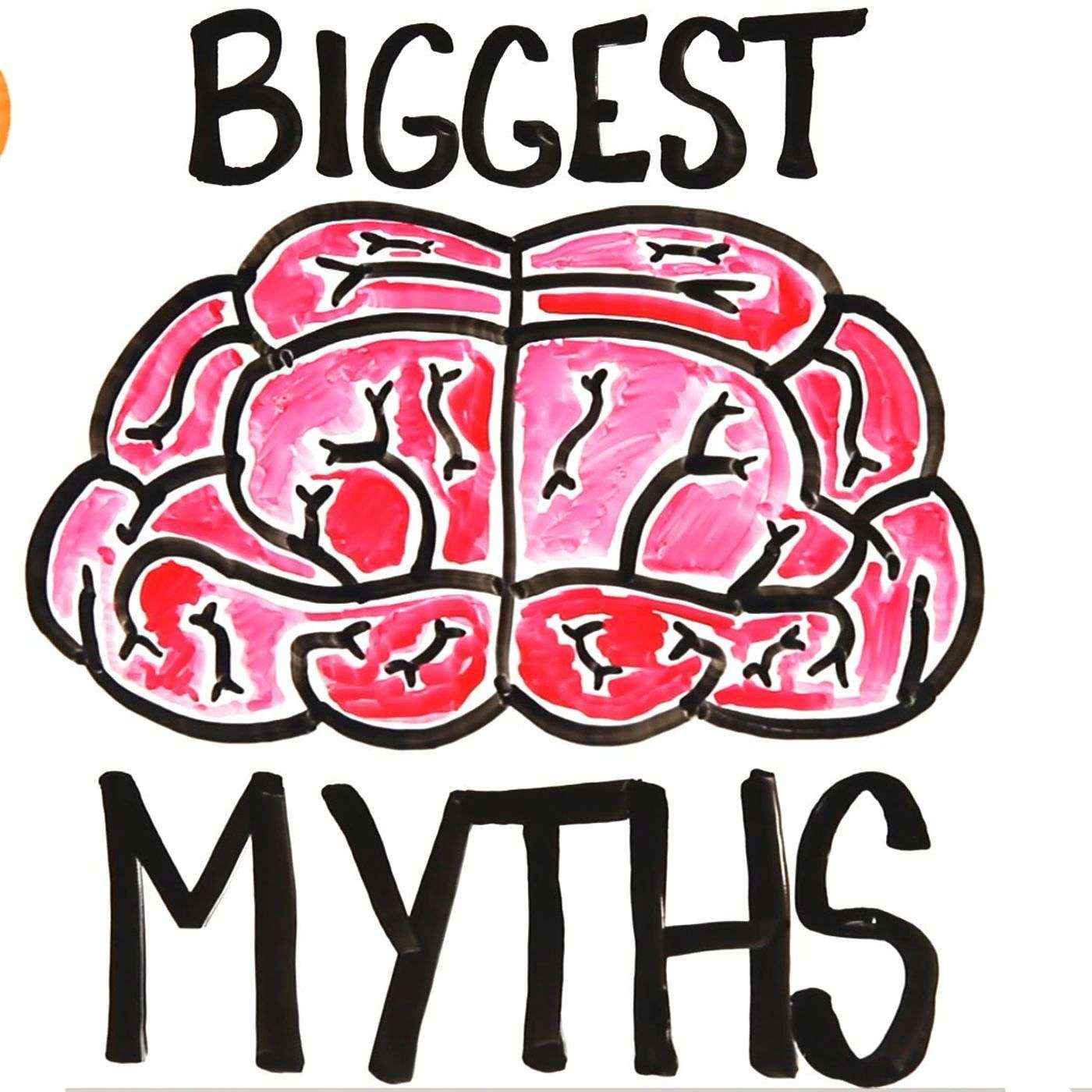 Fighters Guide to: Brain Myths, and Misconceptions Part 3 - LOF Podcast: Episode 102 episode artwork