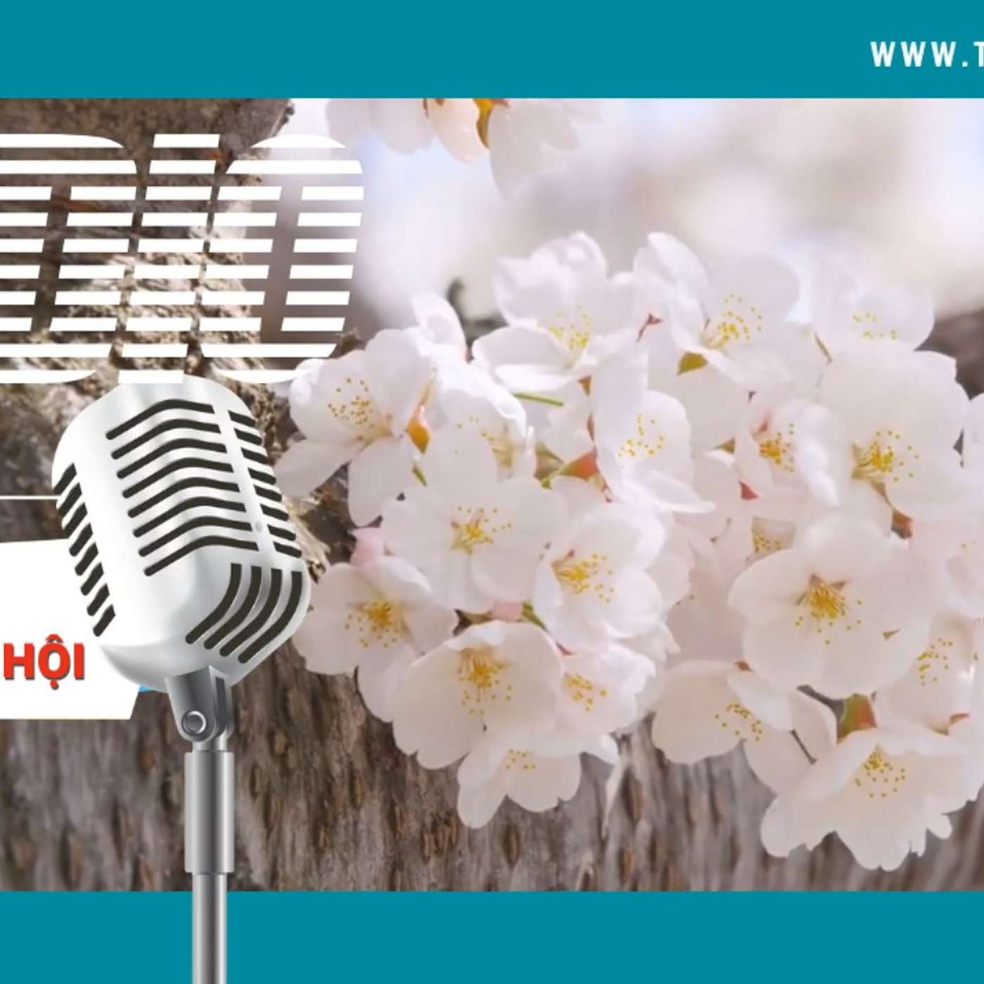 TRITHUCVN\'s Podcast