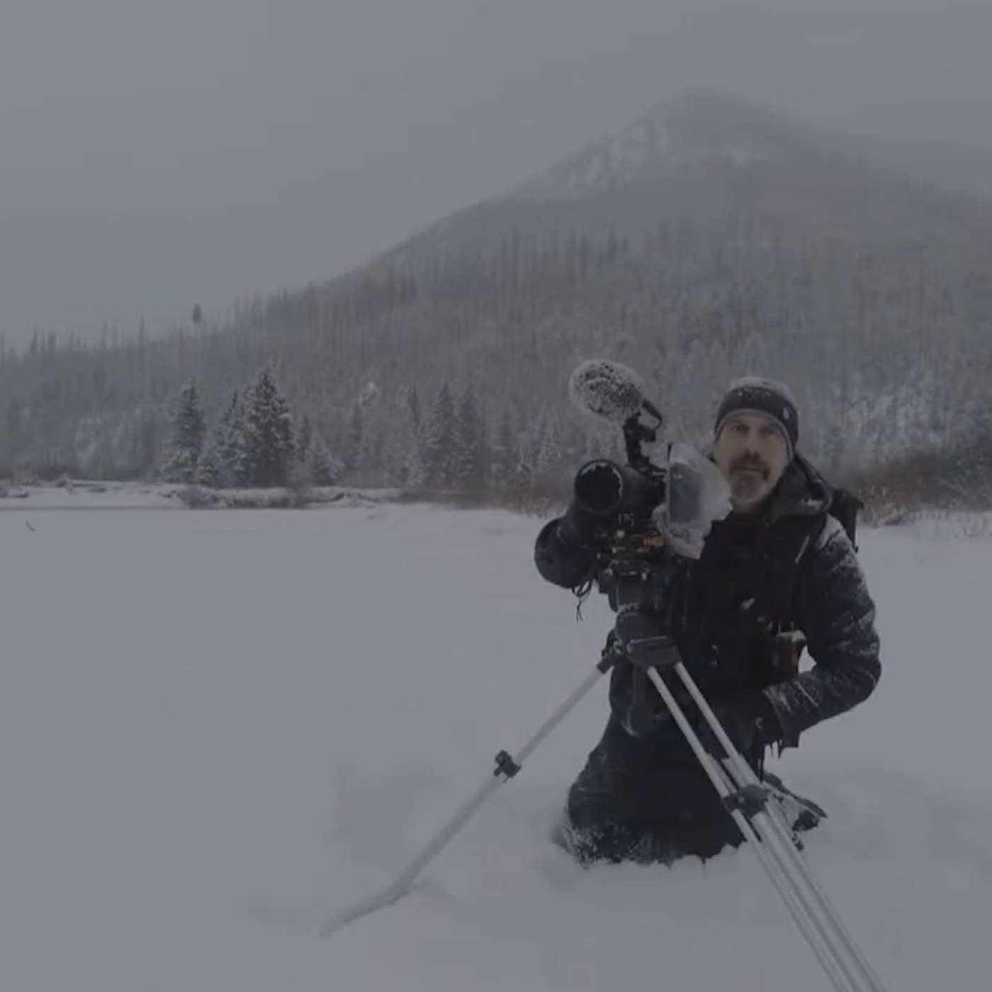 Inside Winter Song: Filming 200 Days of Wildlife in Montana’s Harshest Season episode artwork