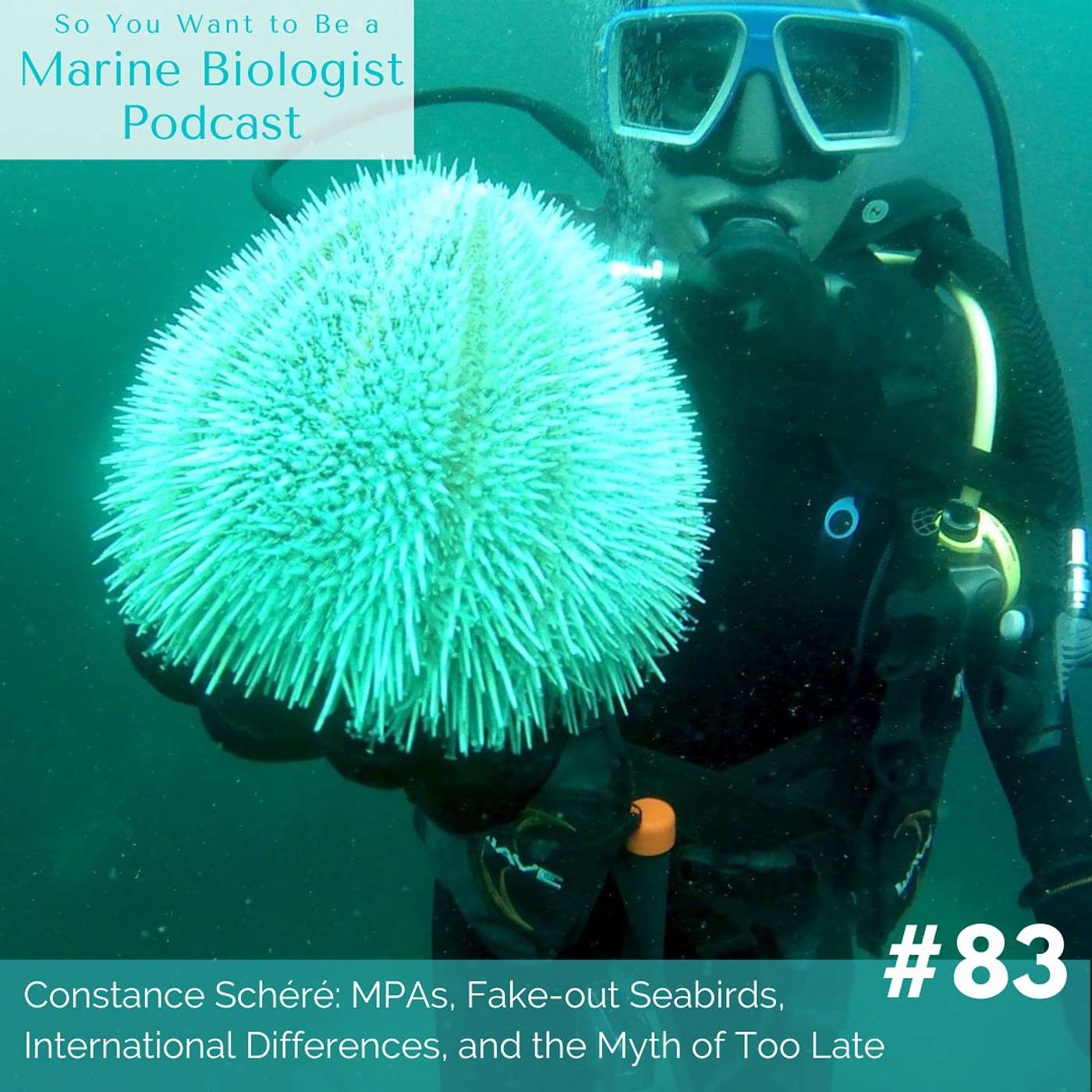So You Want to Be a Marine Biologist