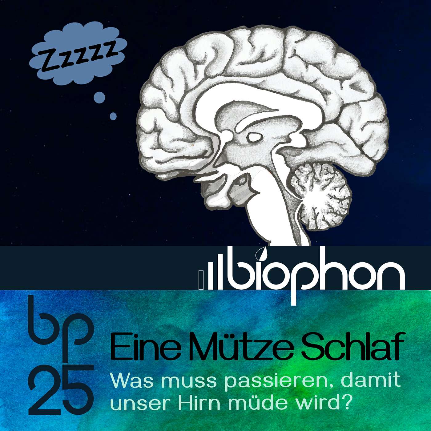 bp25: Eine Mütze Schlaf - was muss passieren, damit unser Hirn müde wird?