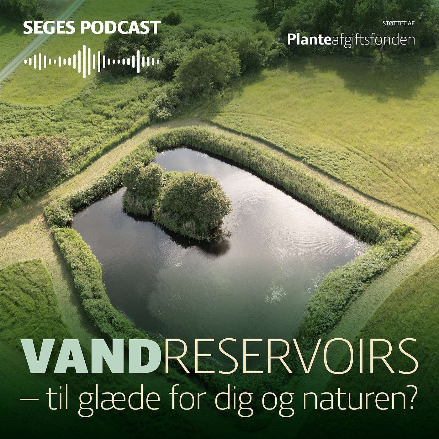 SEGES Økonomi og virksomhedsledelse