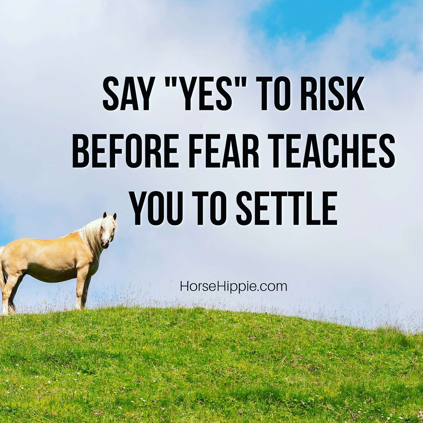 Taking Risks