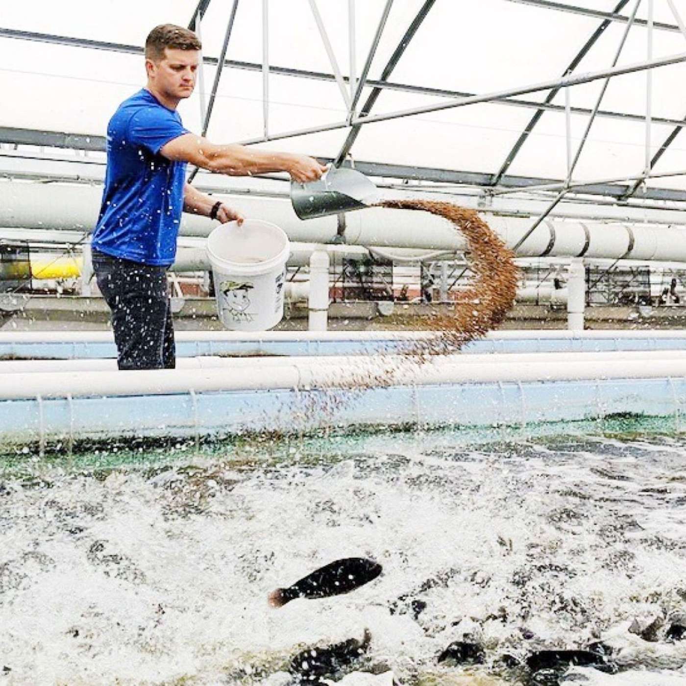 Iowa fish farm poised to take on import-dominated market