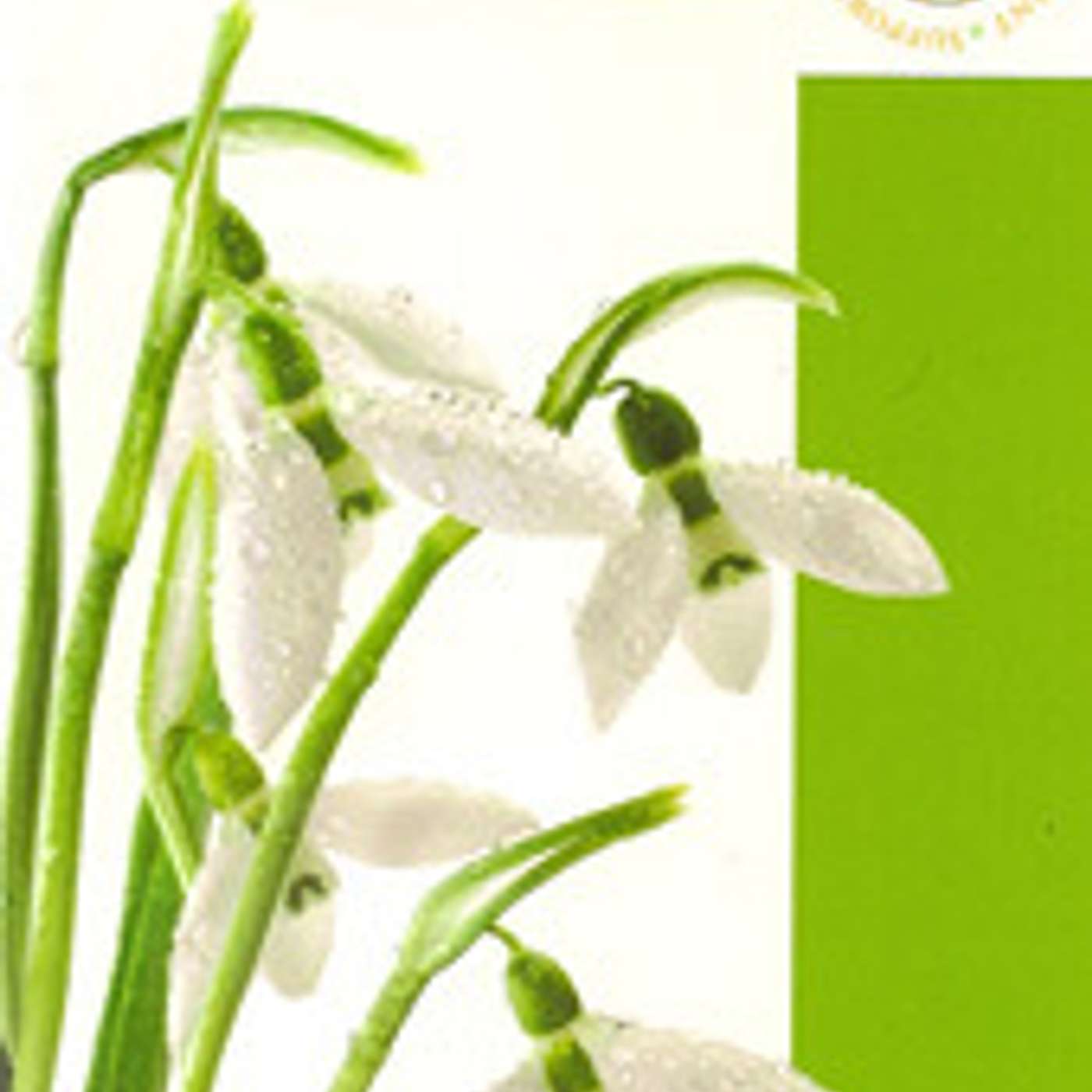 "The Grieving Journey" - Sr Dolores Brophy  - 22 November 2020 (SS102fm Programme Excerpt)(S10 E54b)