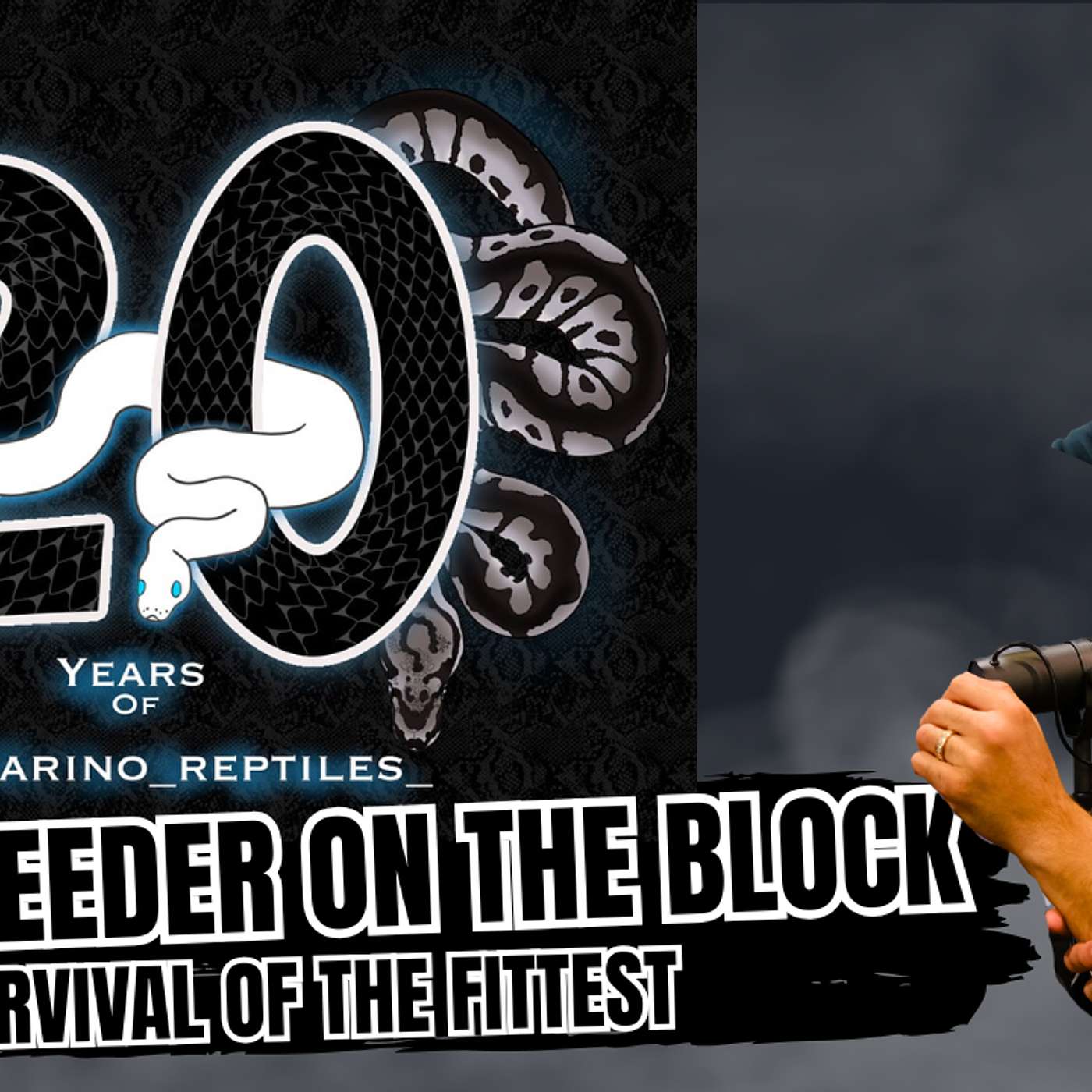 Who Will Survive & Who Will Crash Out In 2026 | New Breeder On The Block Recap Live