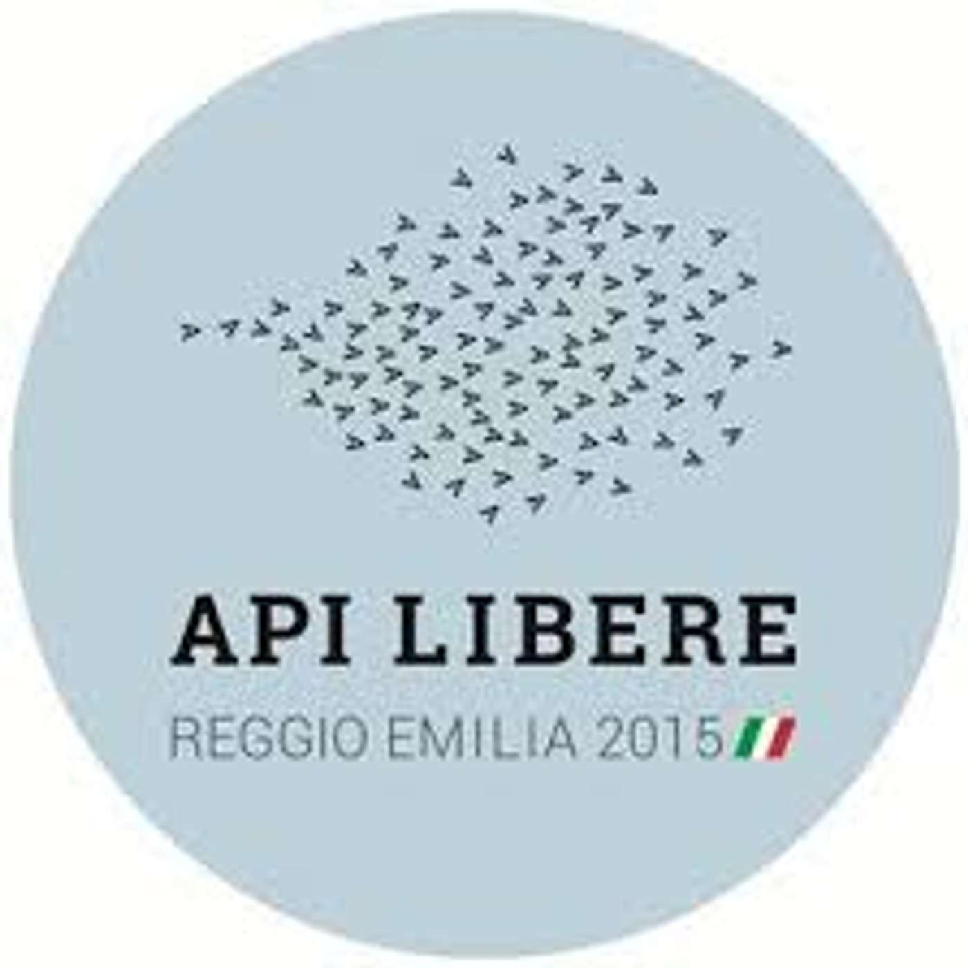 G.O. AMBIRE Api Libere Codemondo (RE)  Intervista a Annalisa Casali episode artwork