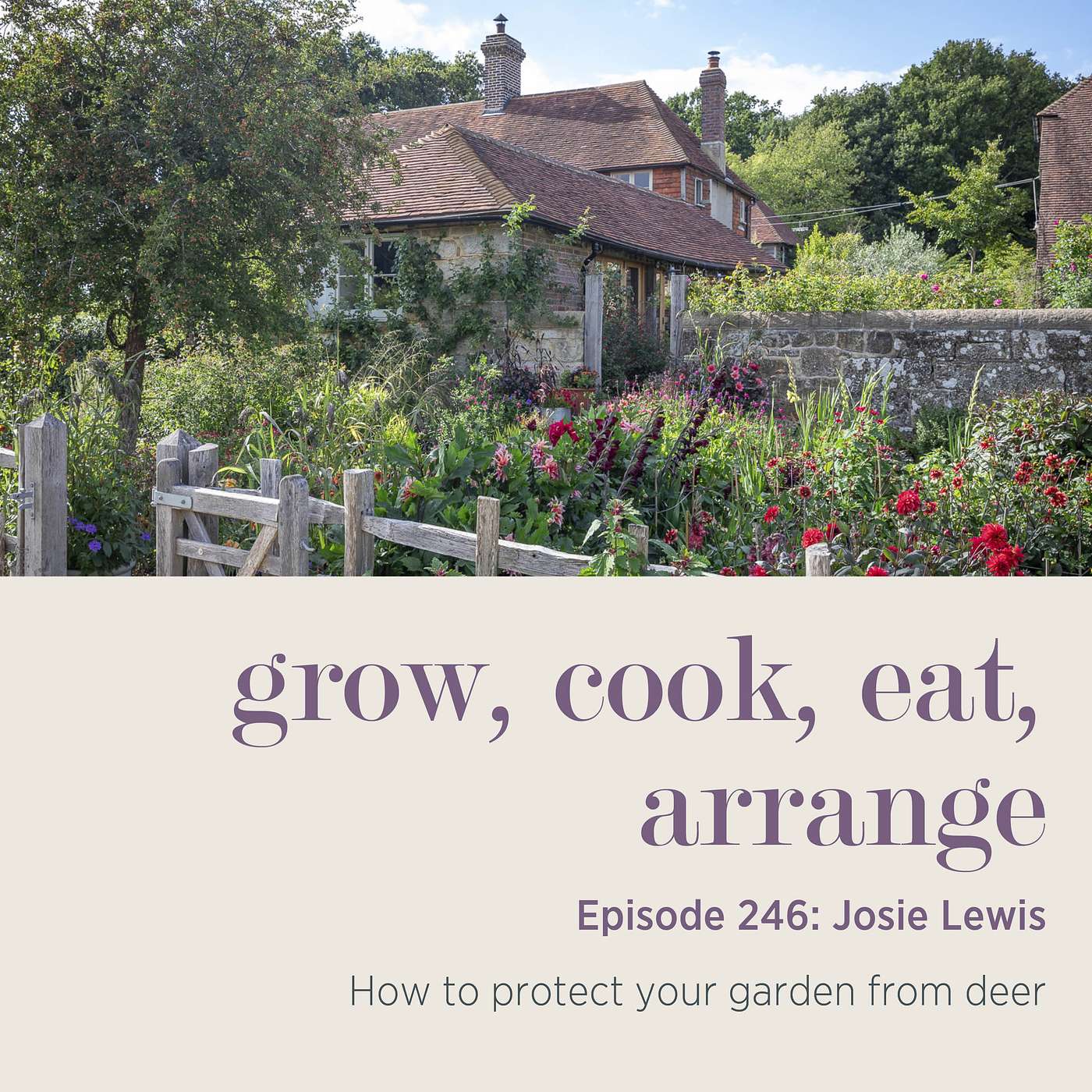 Josie Lewis: How to protect your garden from deer - Episode 246