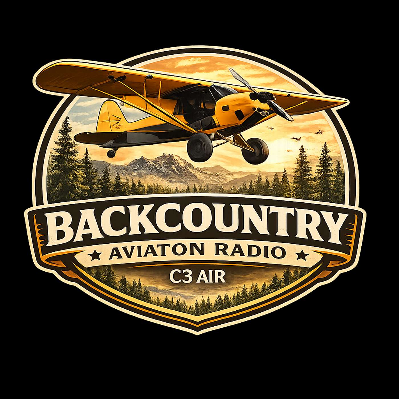 Backcountry Aviation Radio