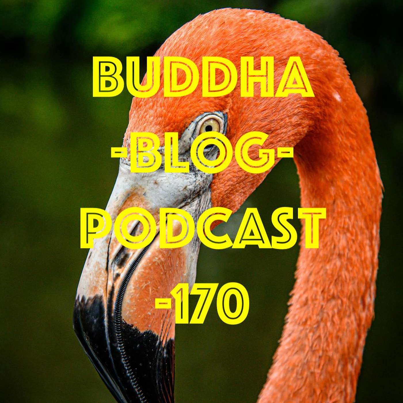 170-Klarheit im Leben - Buddha Blog Podcast